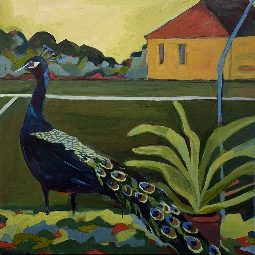 "The Peacock's Lament"_24" x 24".jpg