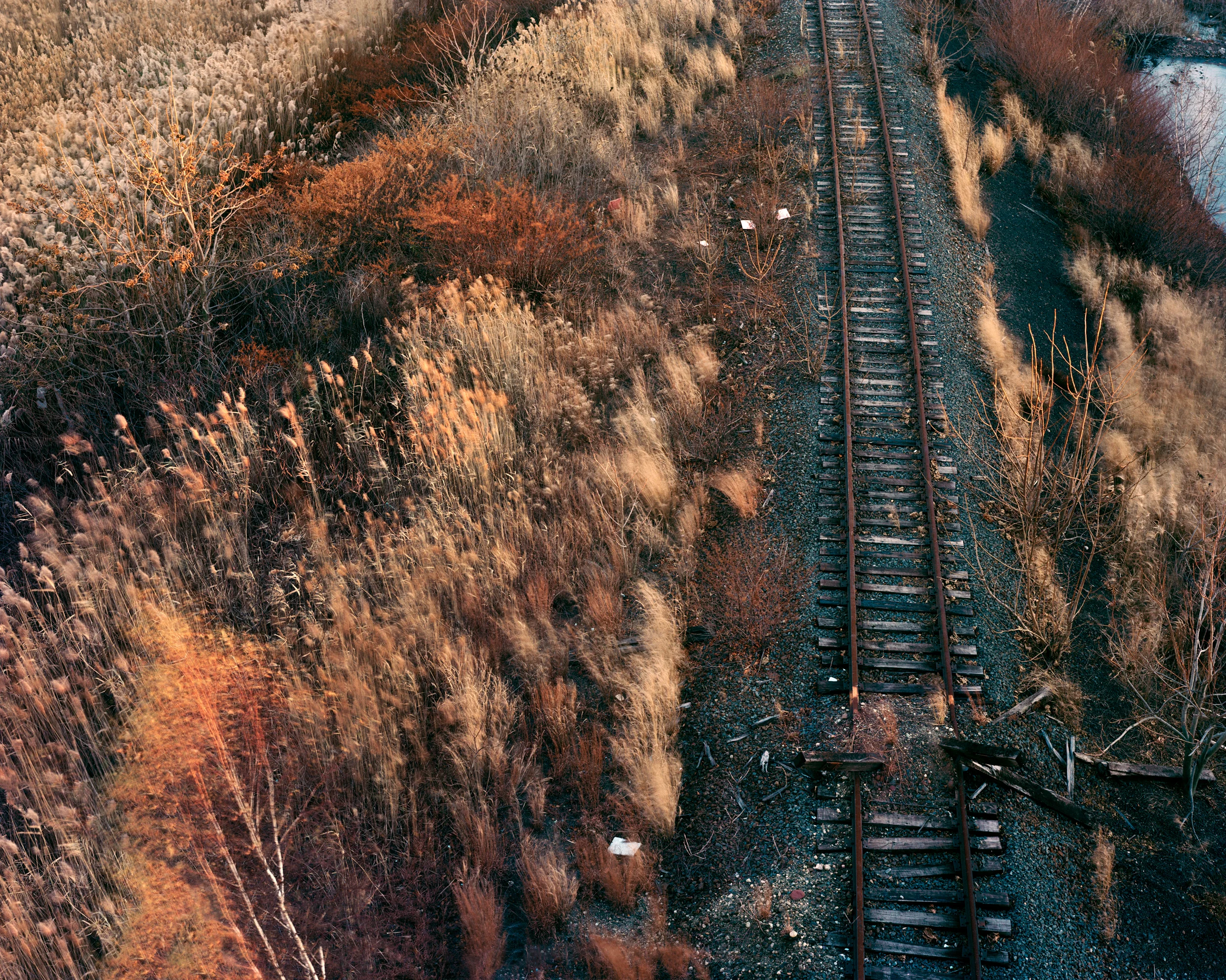 Statement Meadowlands No. 1