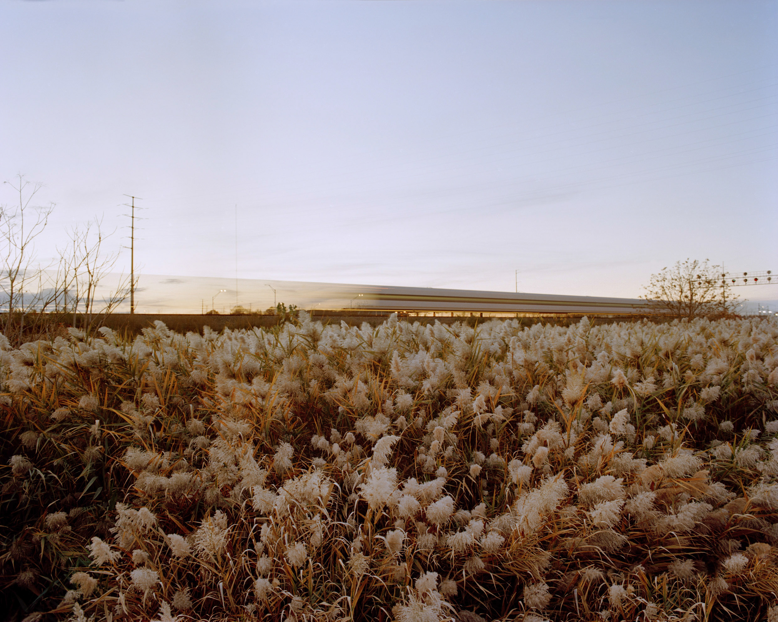 Meadowlands No. 3