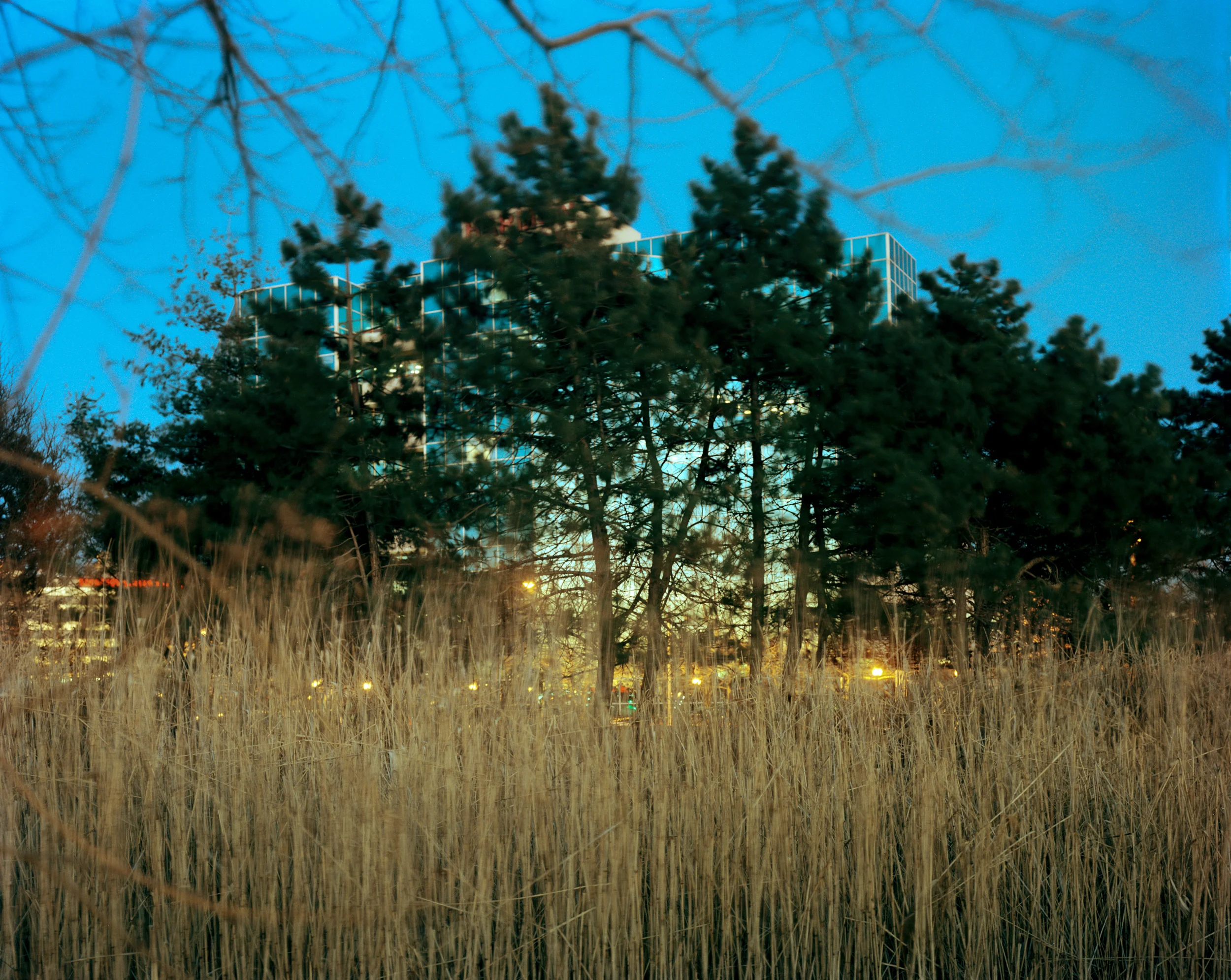 Meadowlands No. 7