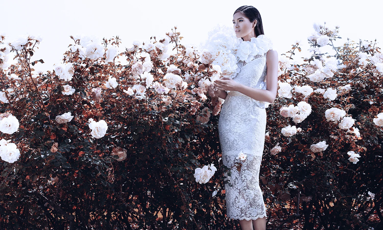 thienla photography do manh cuong.jpg