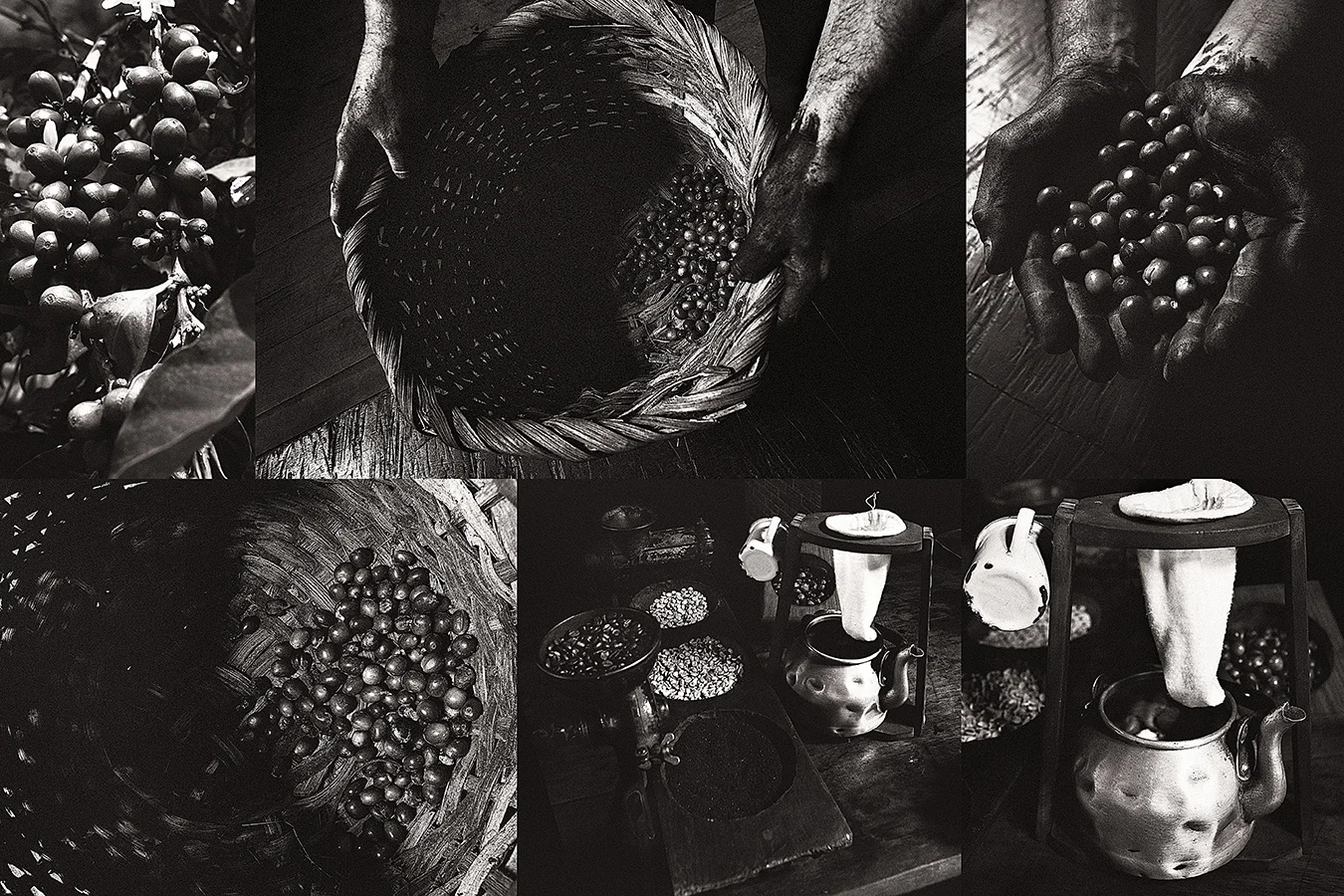 thienlaphotography starbucks .jpg