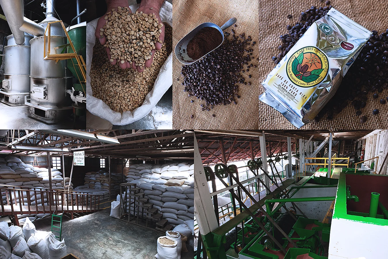 thienla starbucks.jpg