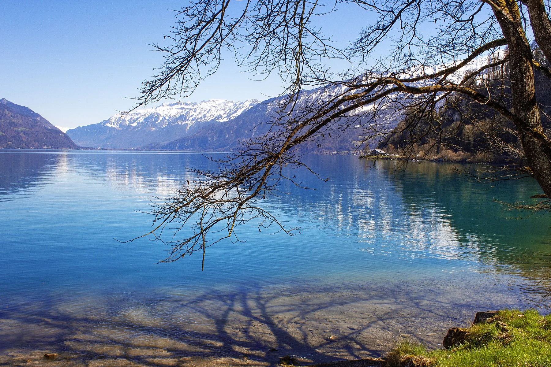 thienla in switzerland 2015.jpg