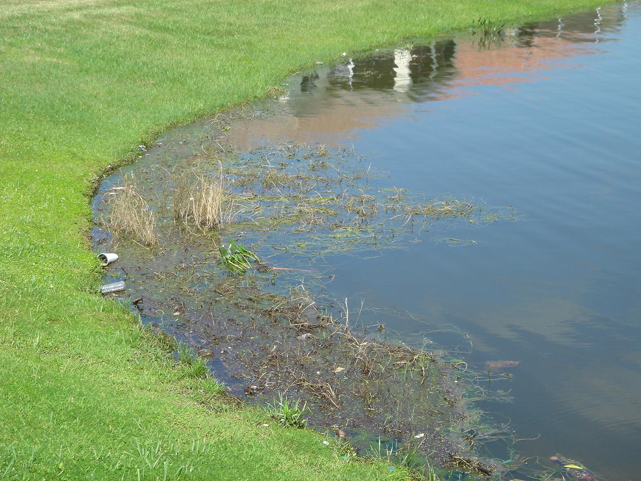 River Place, before