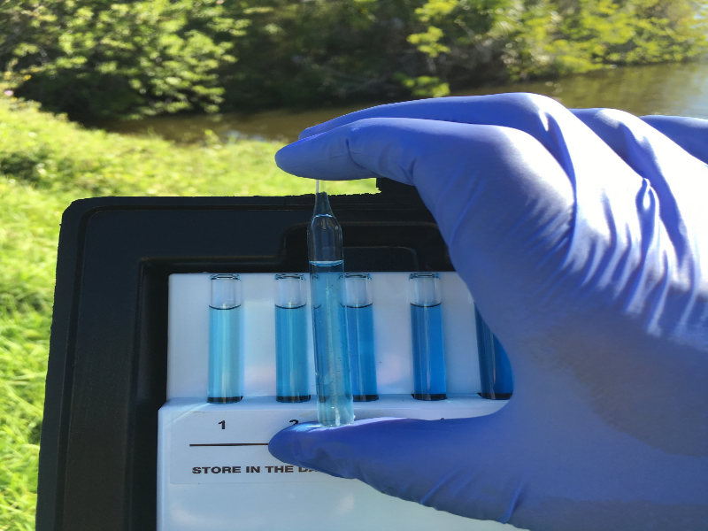Dissolved Oxygen Test