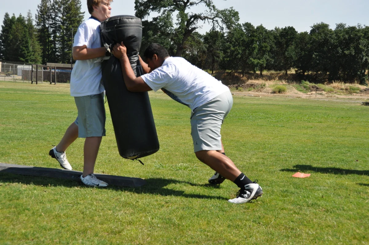 lwg bags and boards 2nd step.jpg
