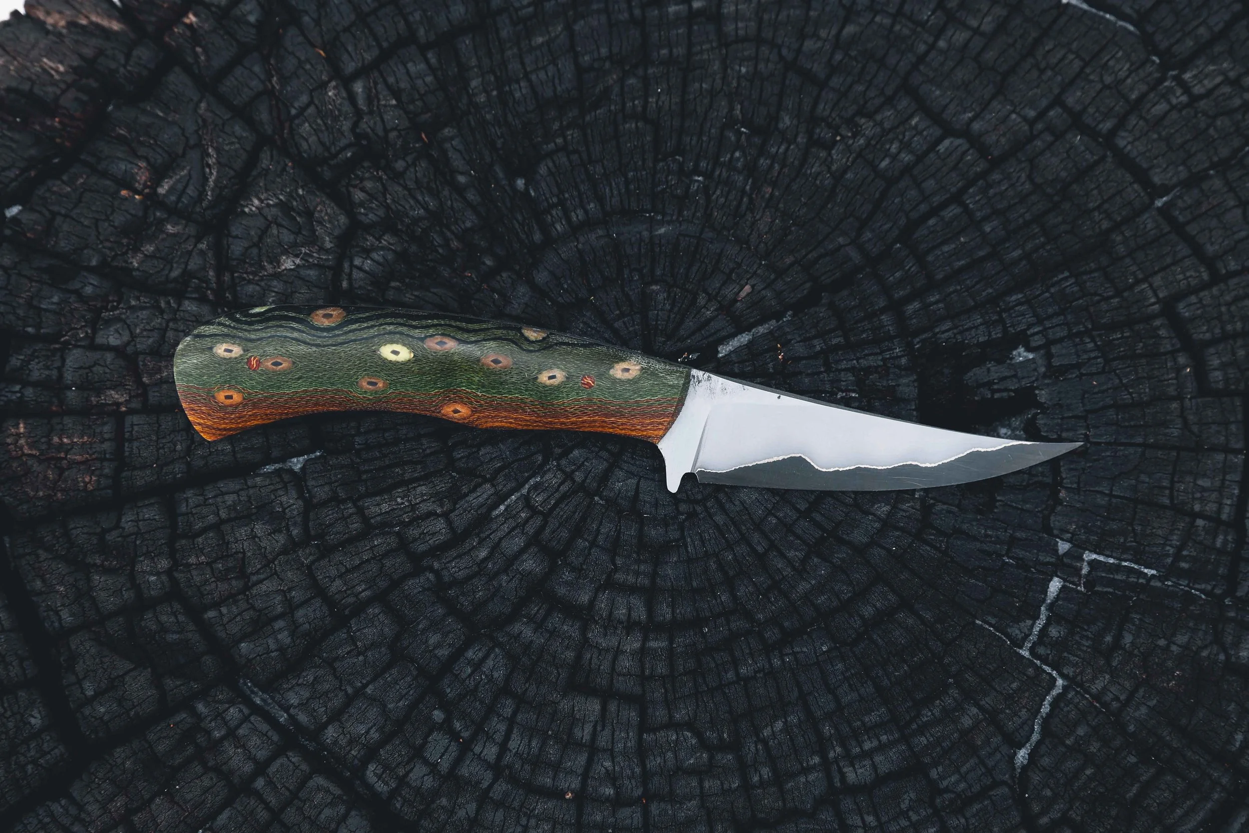 bull trout dark-2.jpg