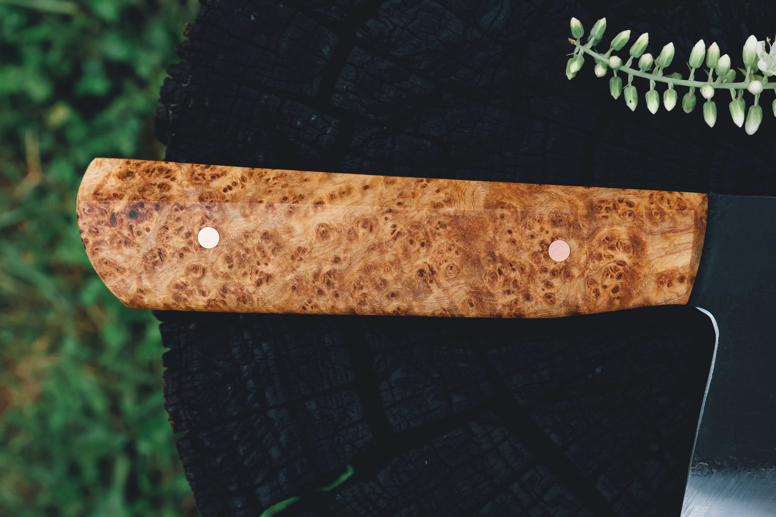 ashburl cleaver-6.jpg