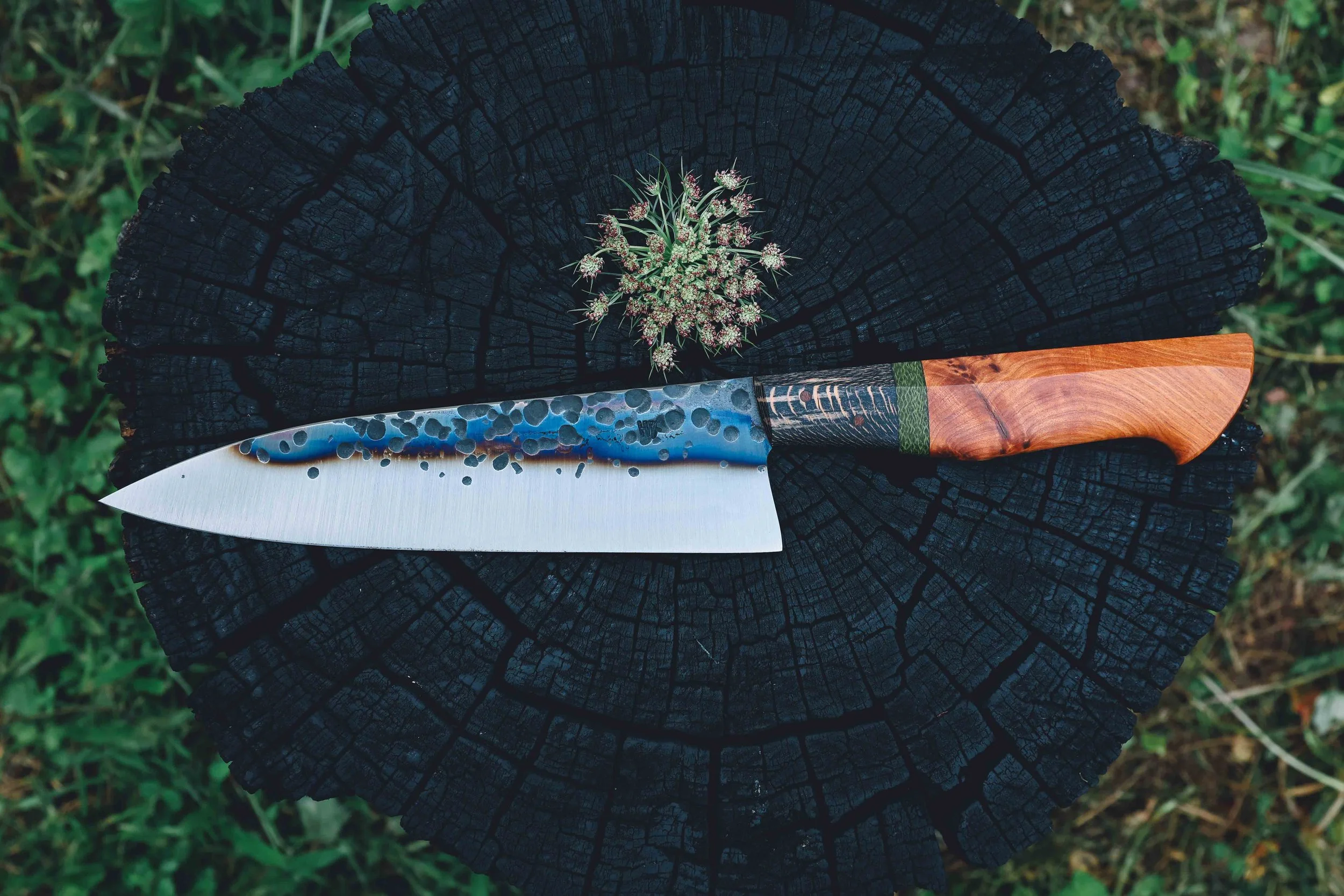 small chef thuya syca trout_.jpg
