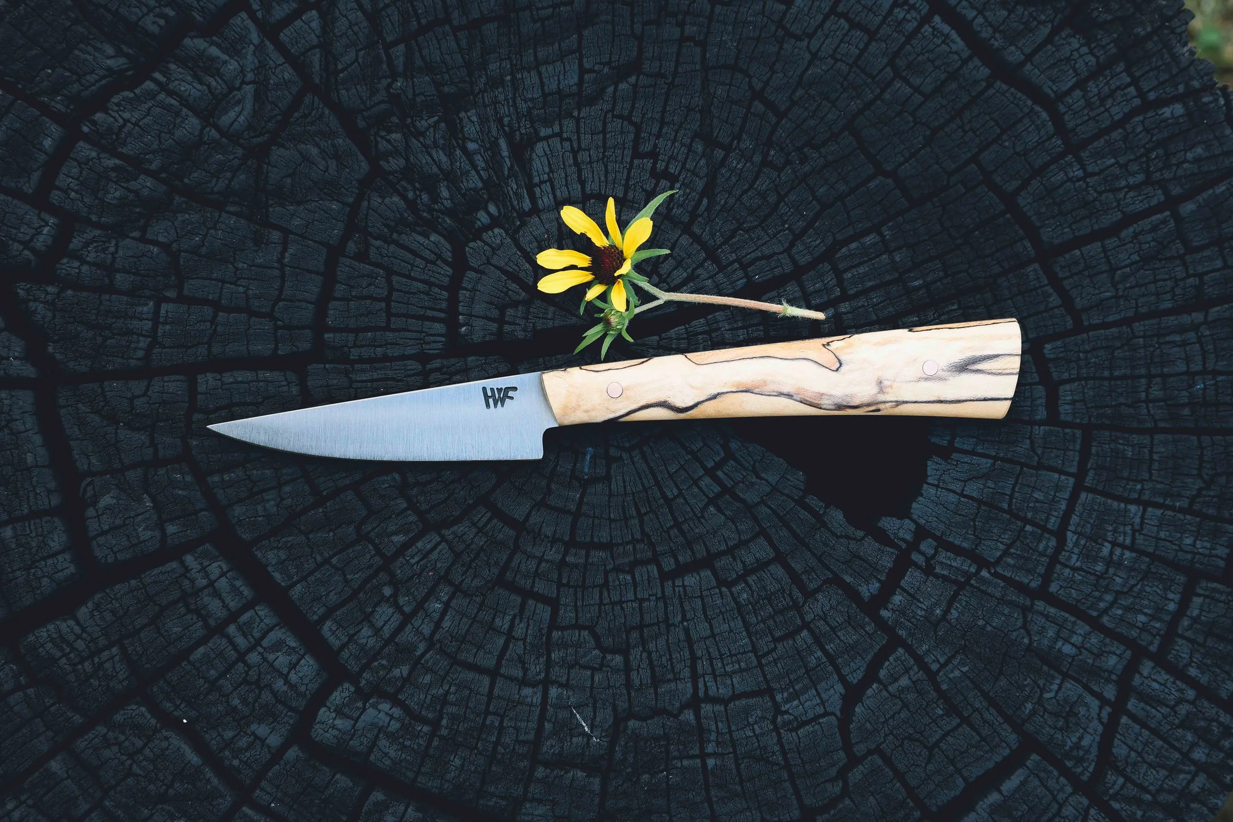 small spalted.jpg