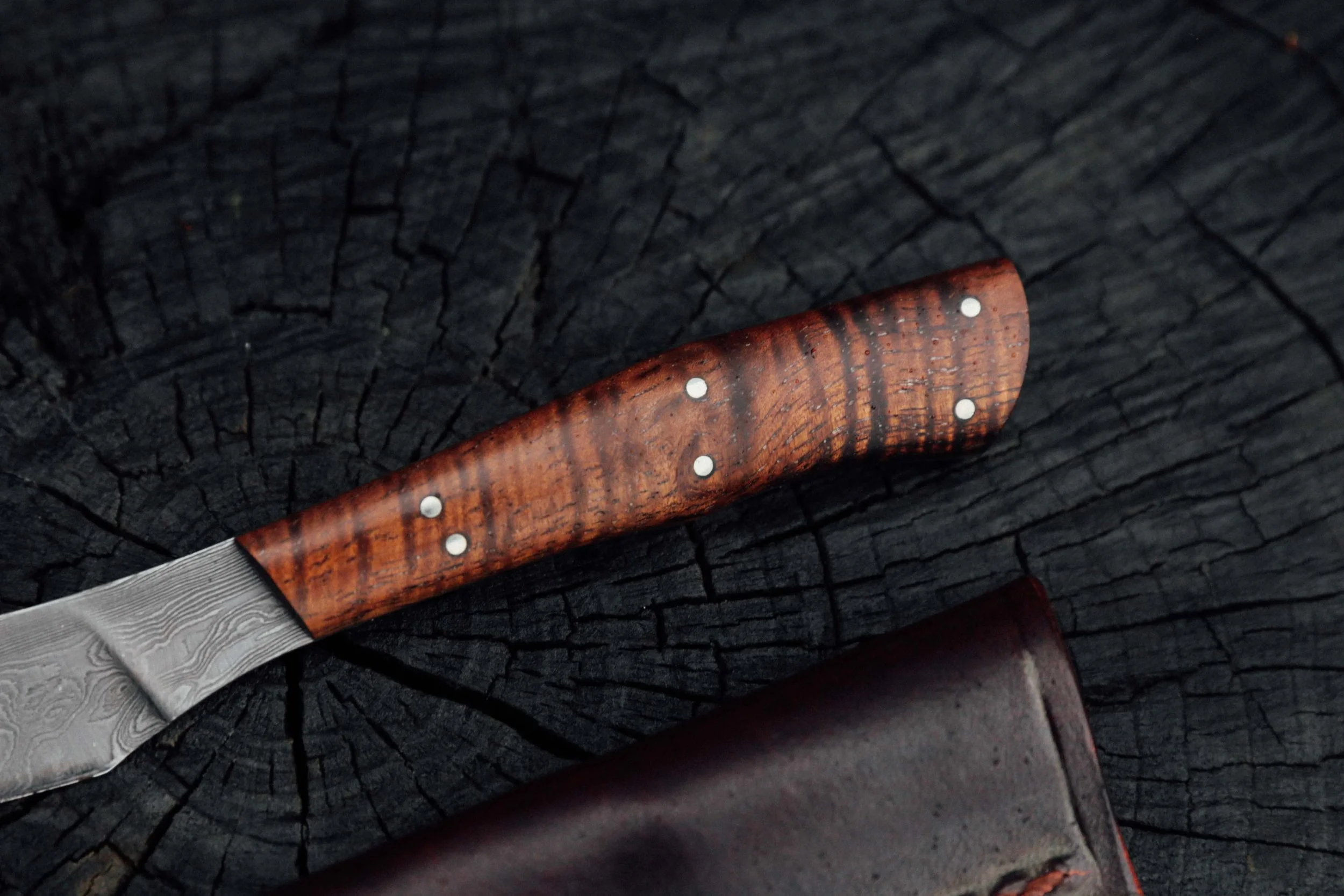 EDC-6.jpg