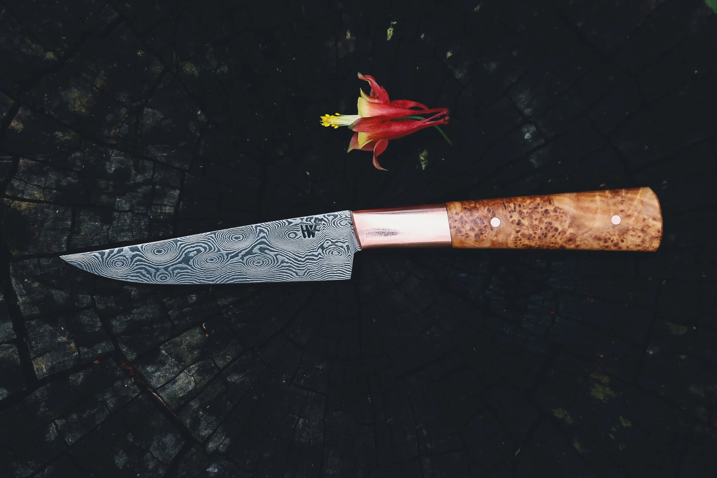 copper ash burl.jpg