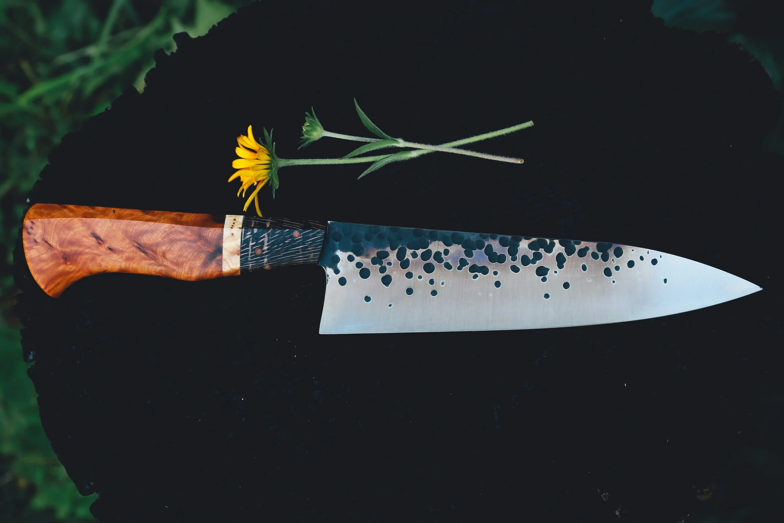 sm chef thuya plain trout-4.jpg