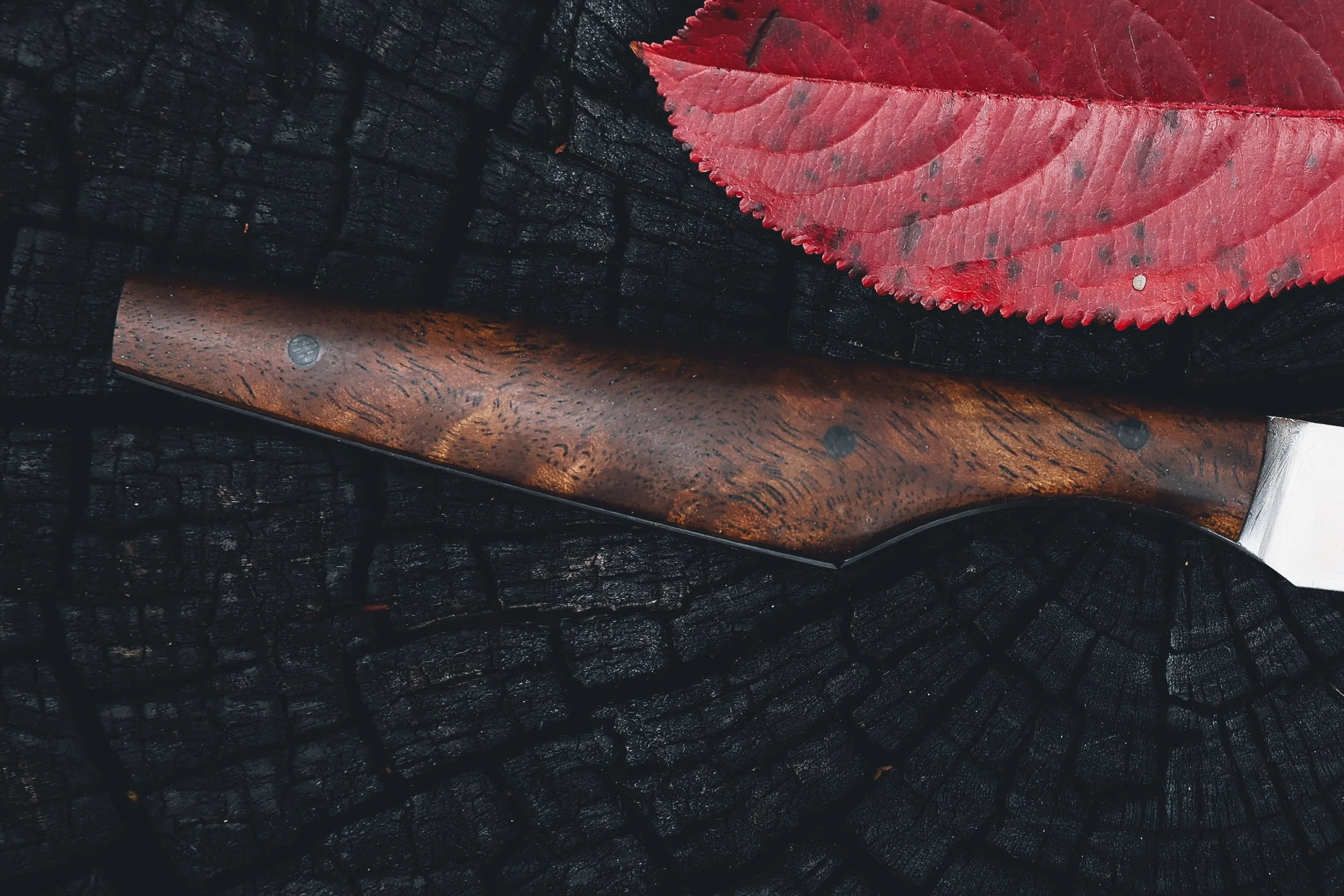 walnut scalpel-6.jpg