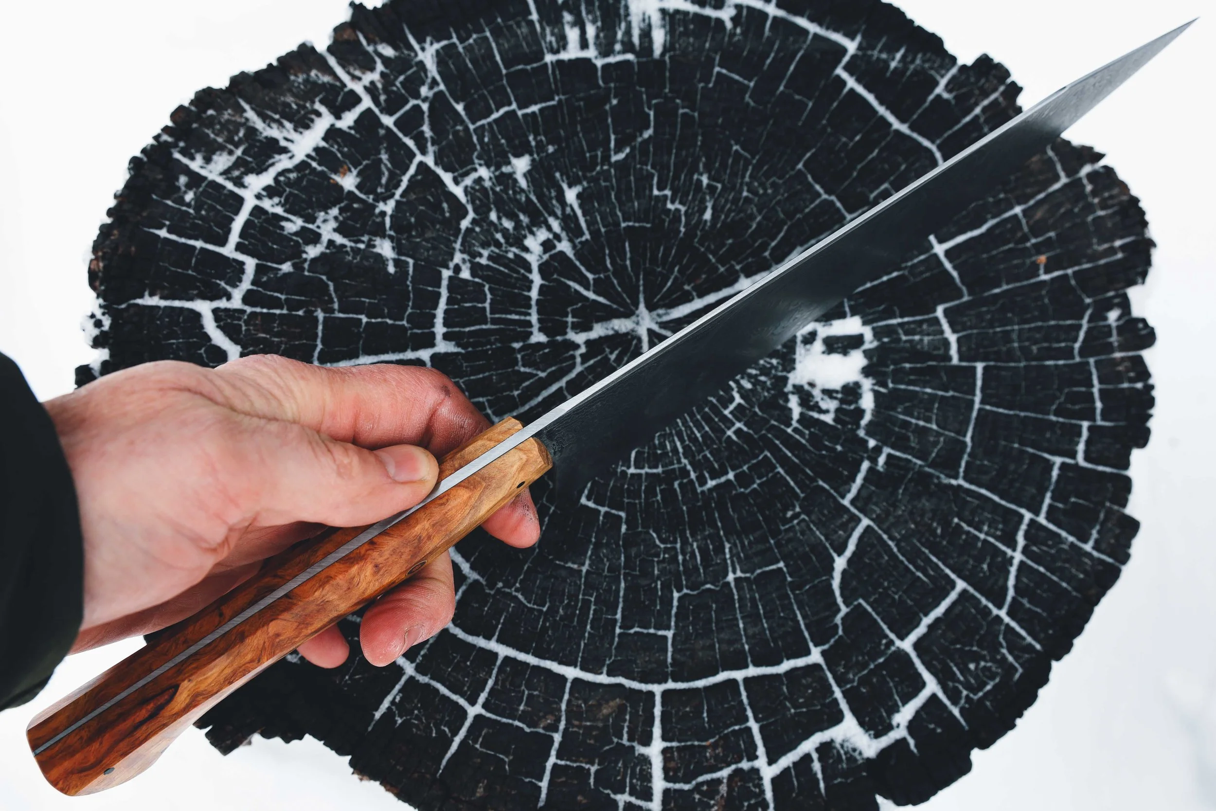 sugipine dammy chef-5.jpg