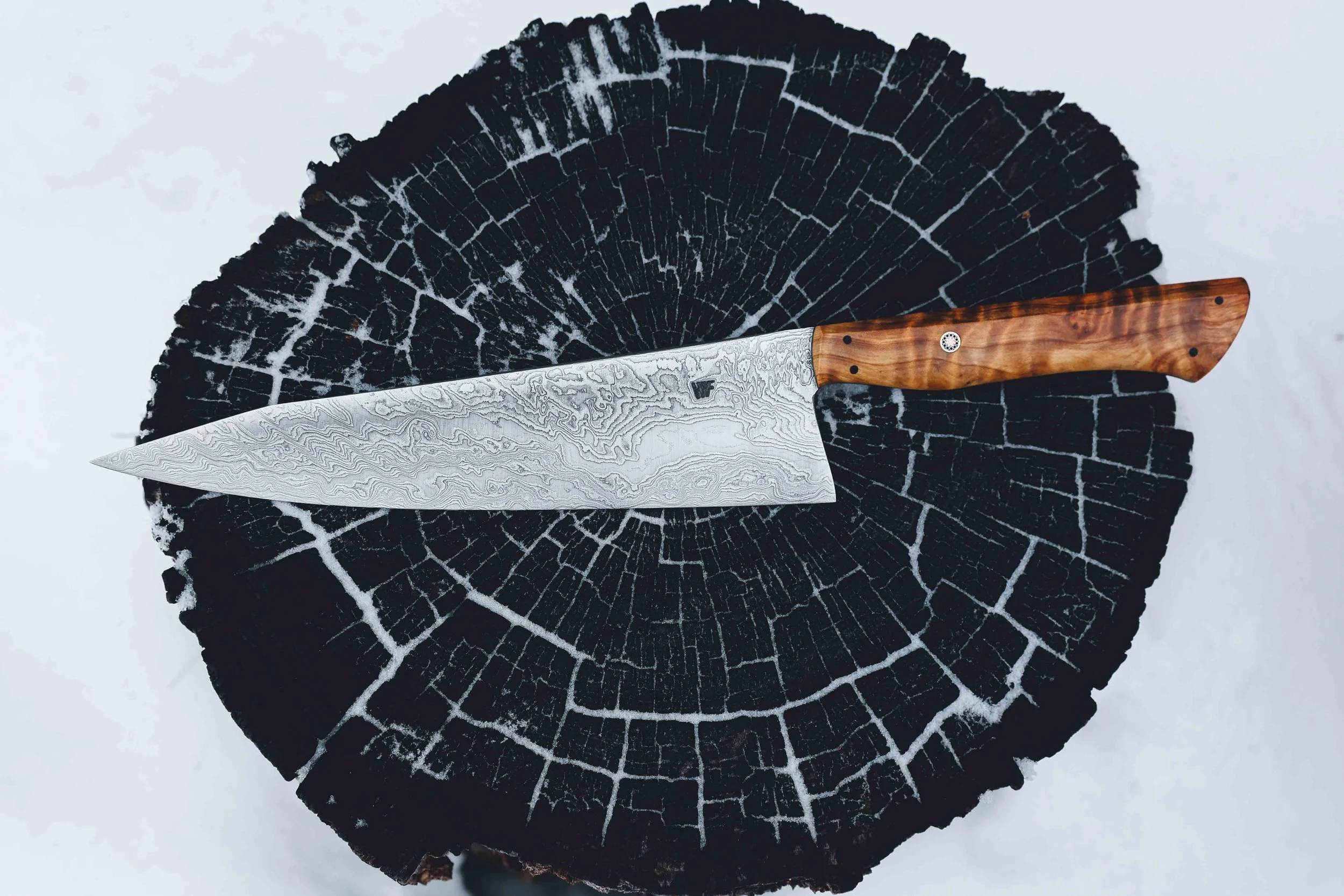 sugipine dammy chef.jpg