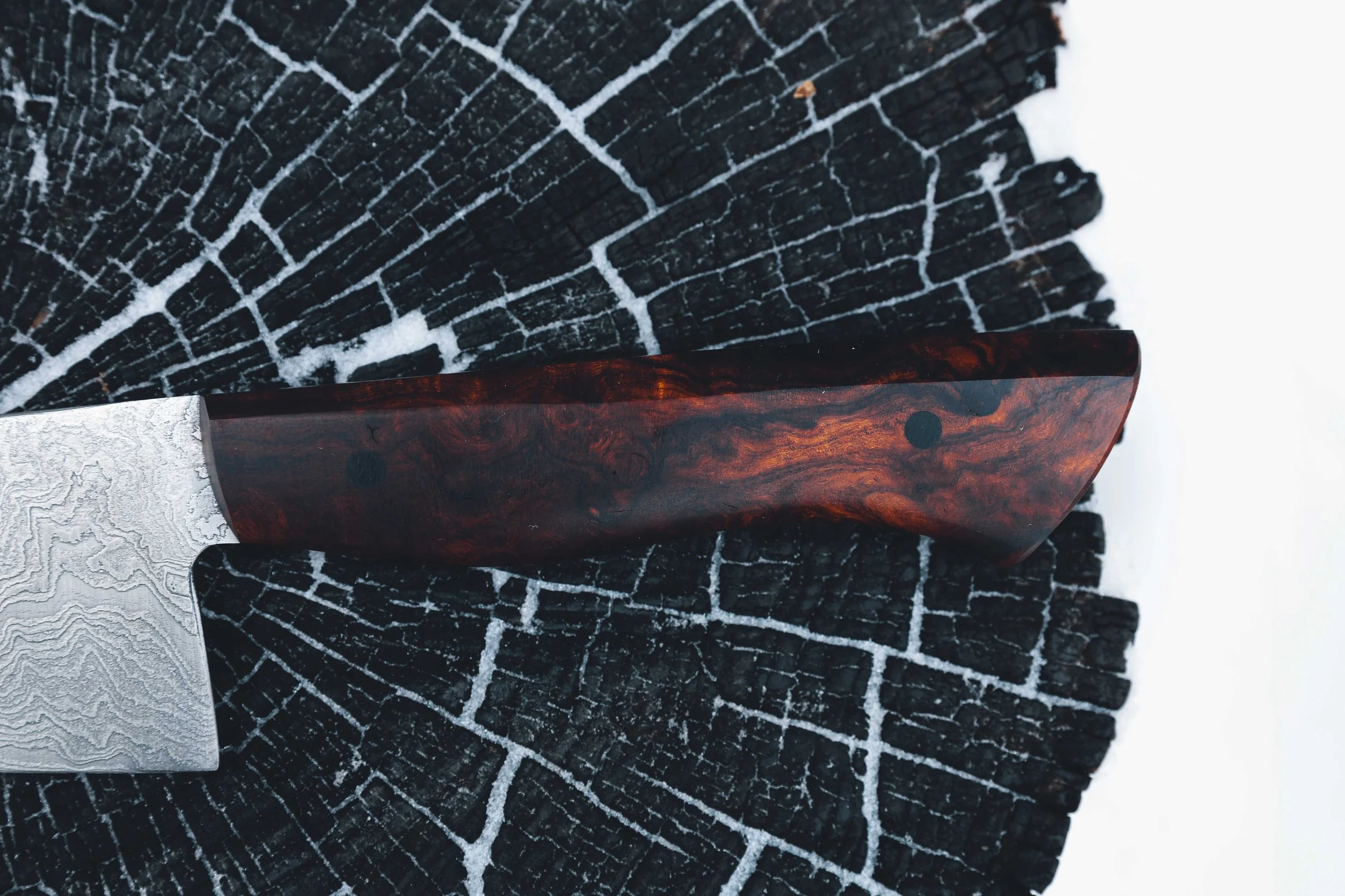 ironwood dammy chef-3.jpg