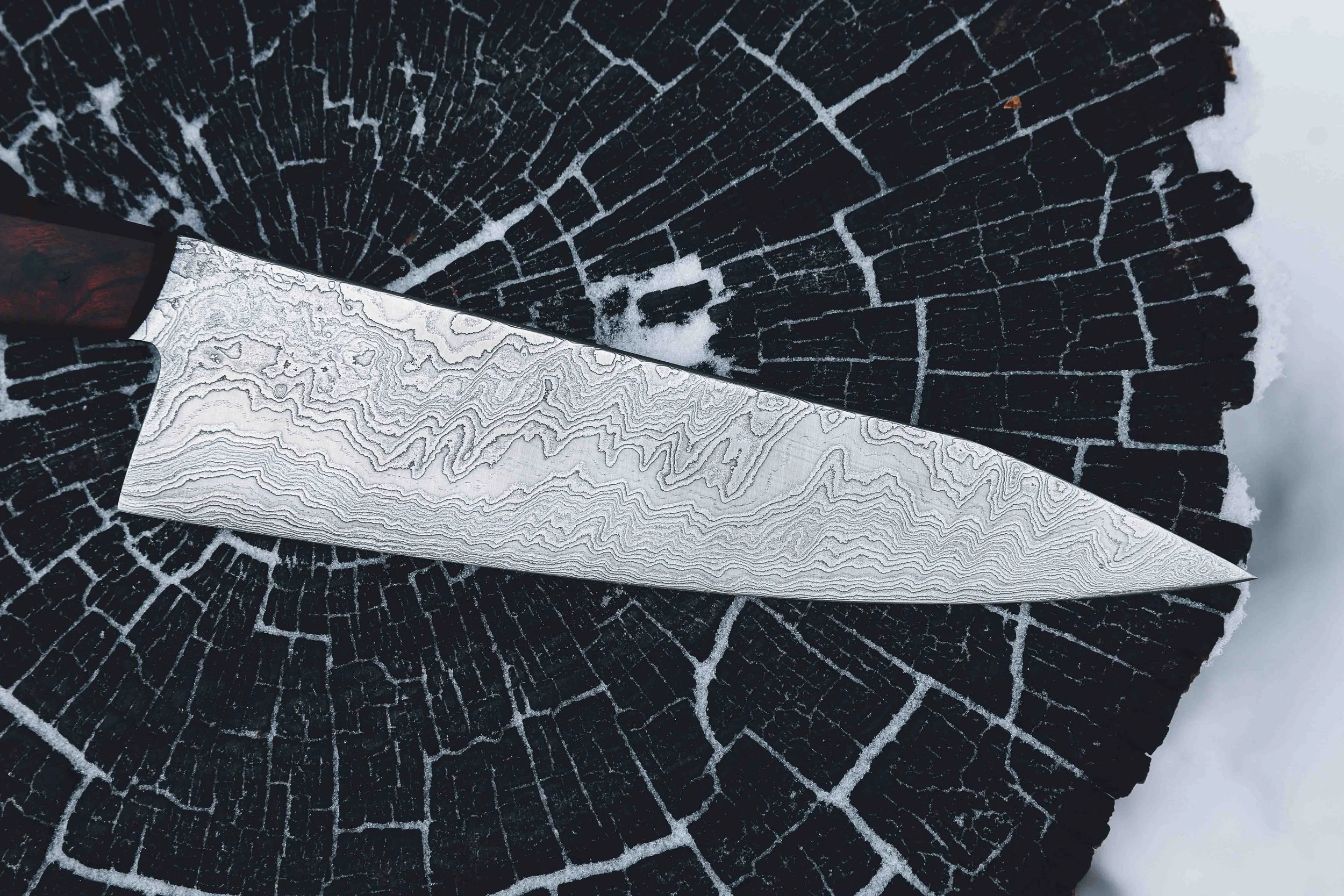 ironwood dammy chef-5.jpg