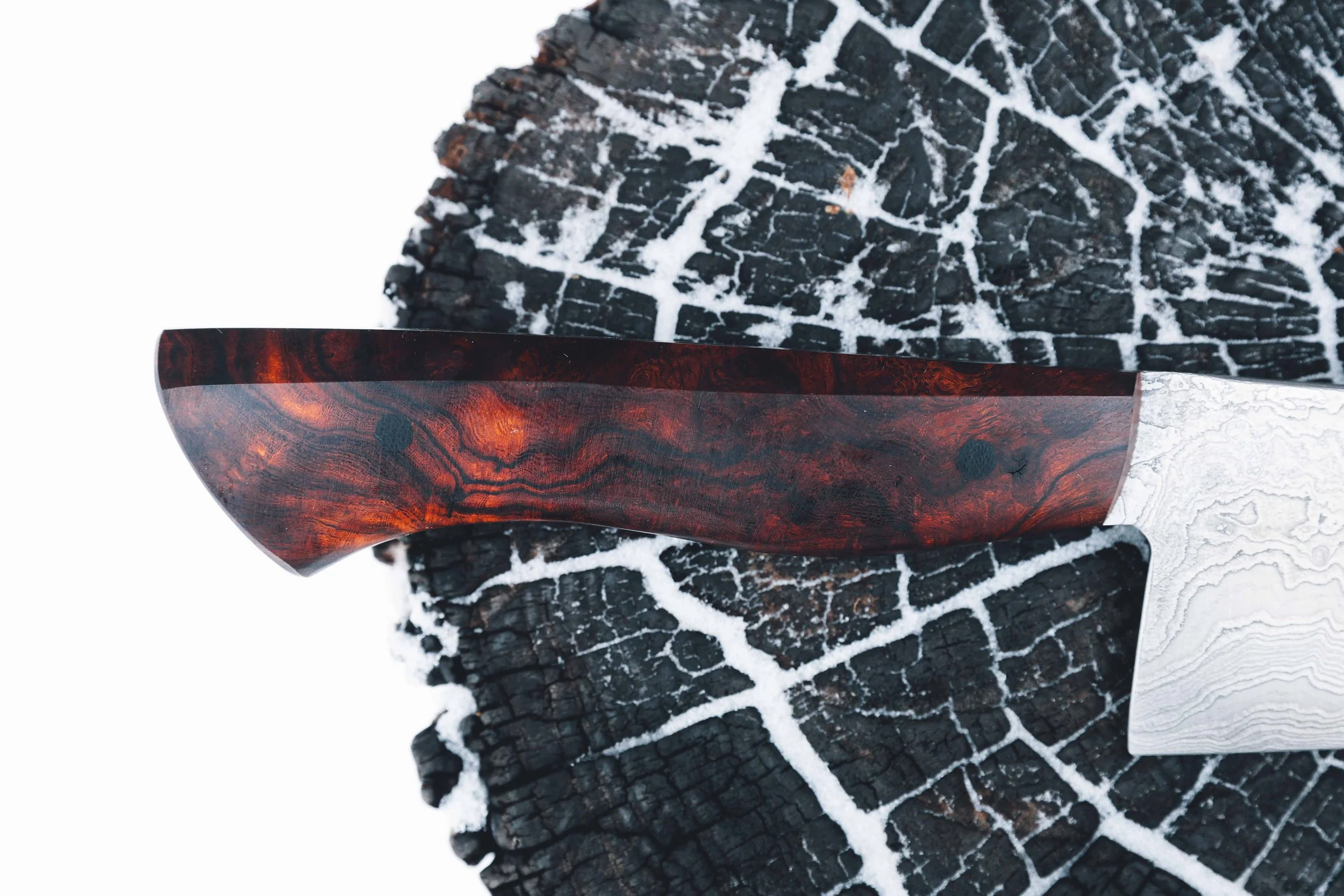 ironwood dammy chef-6.jpg