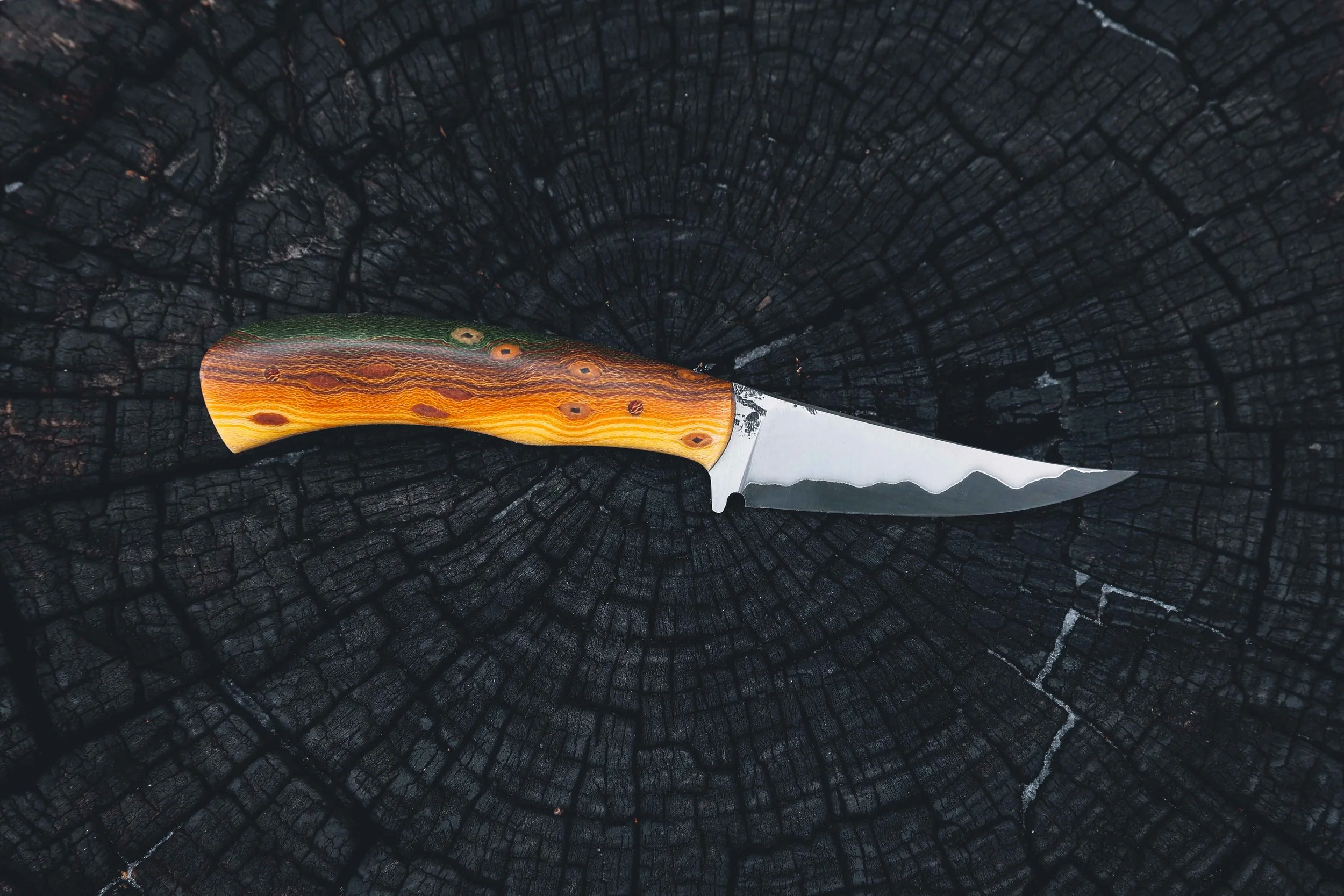 bull trout light-2.jpg