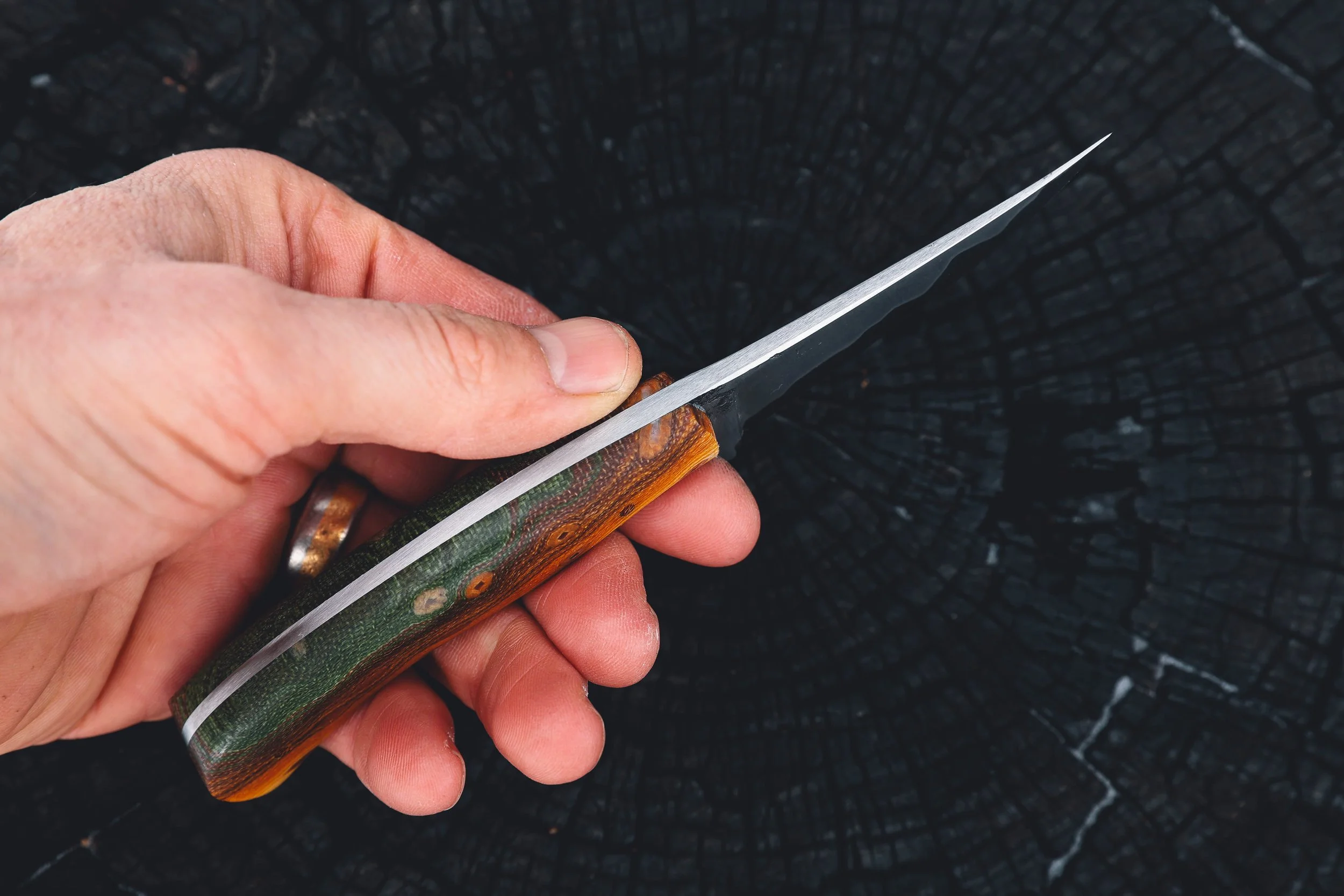 bull trout light-3.jpg