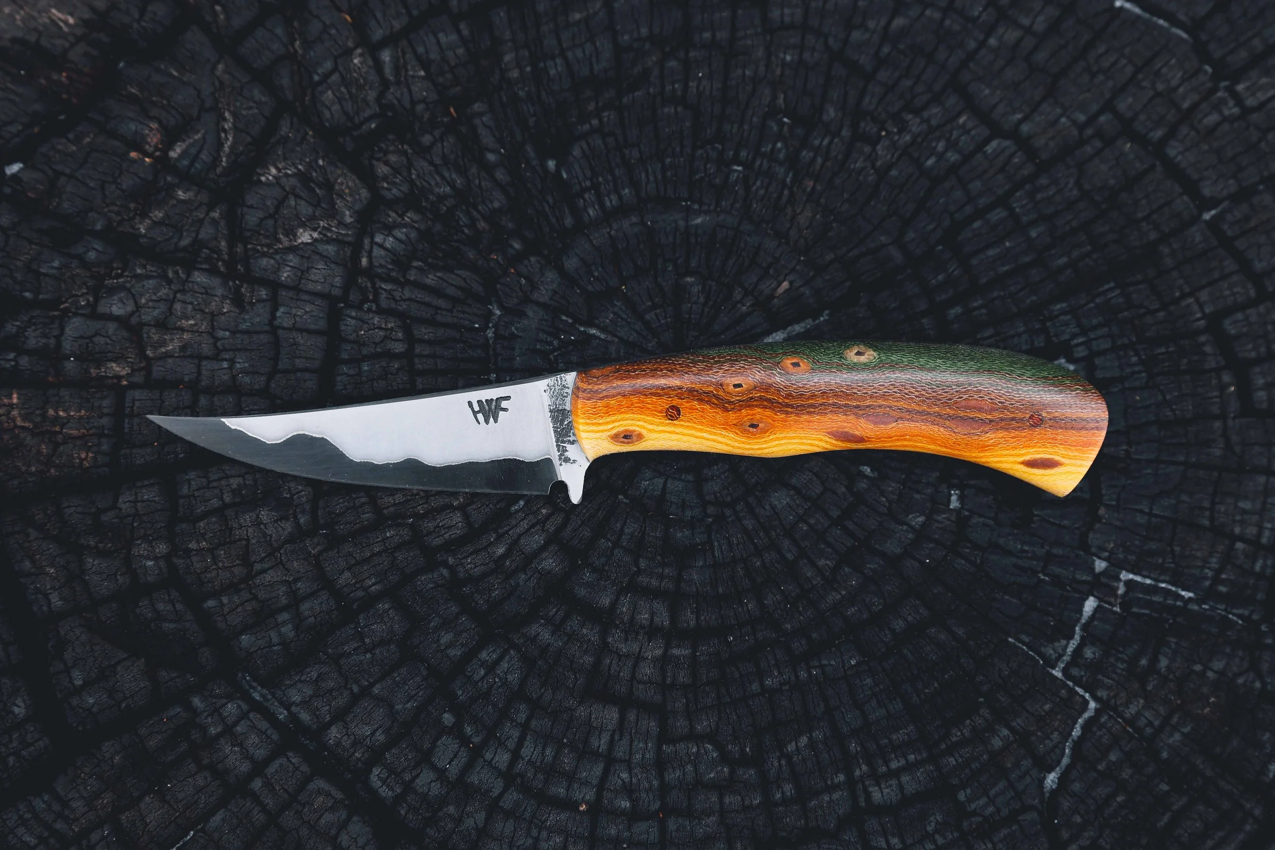 bull trout light.jpg