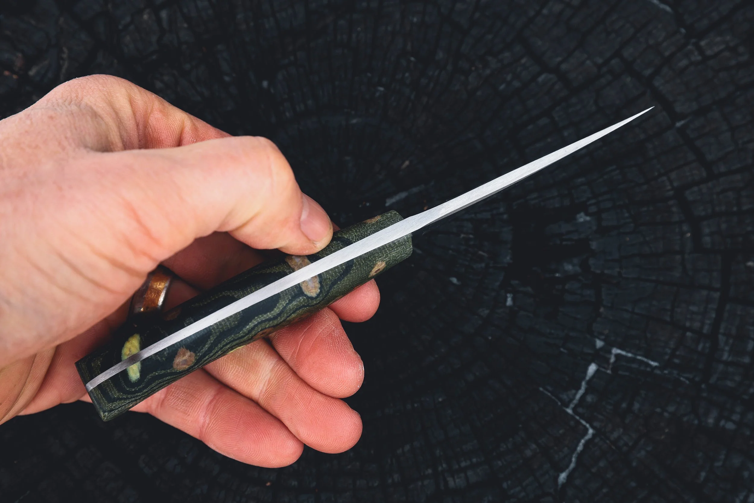 bull trout dark-3.jpg