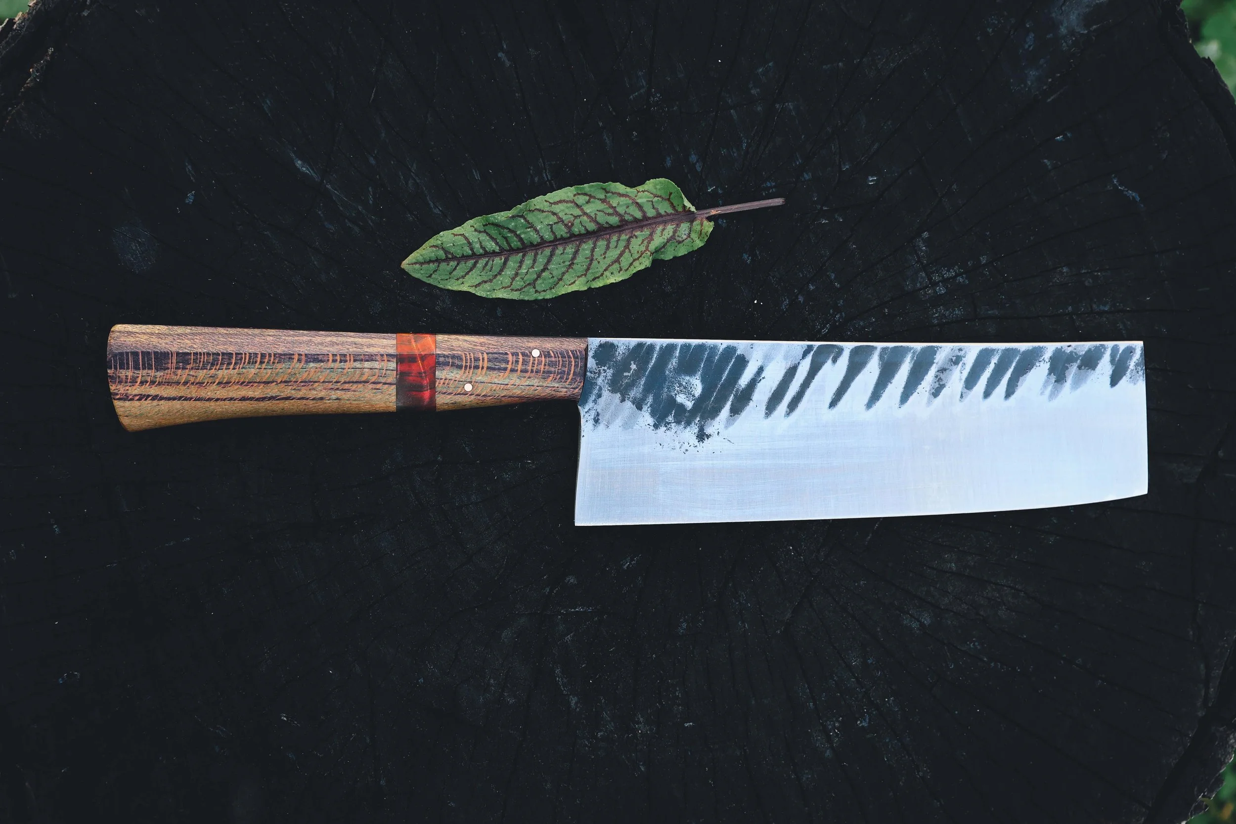 sycamore nakiri-2.jpg