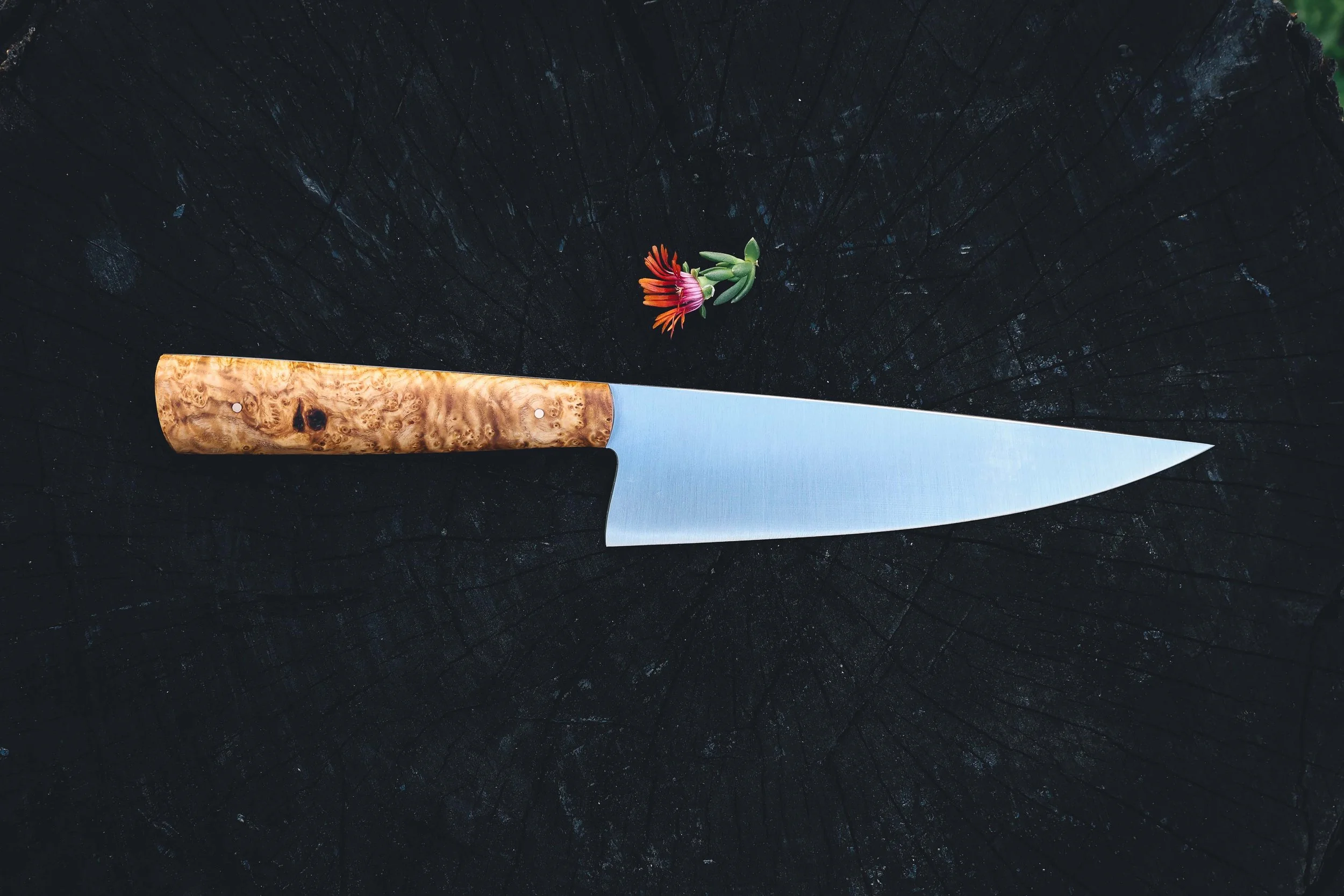 ashburl lowlight chef-2.jpg