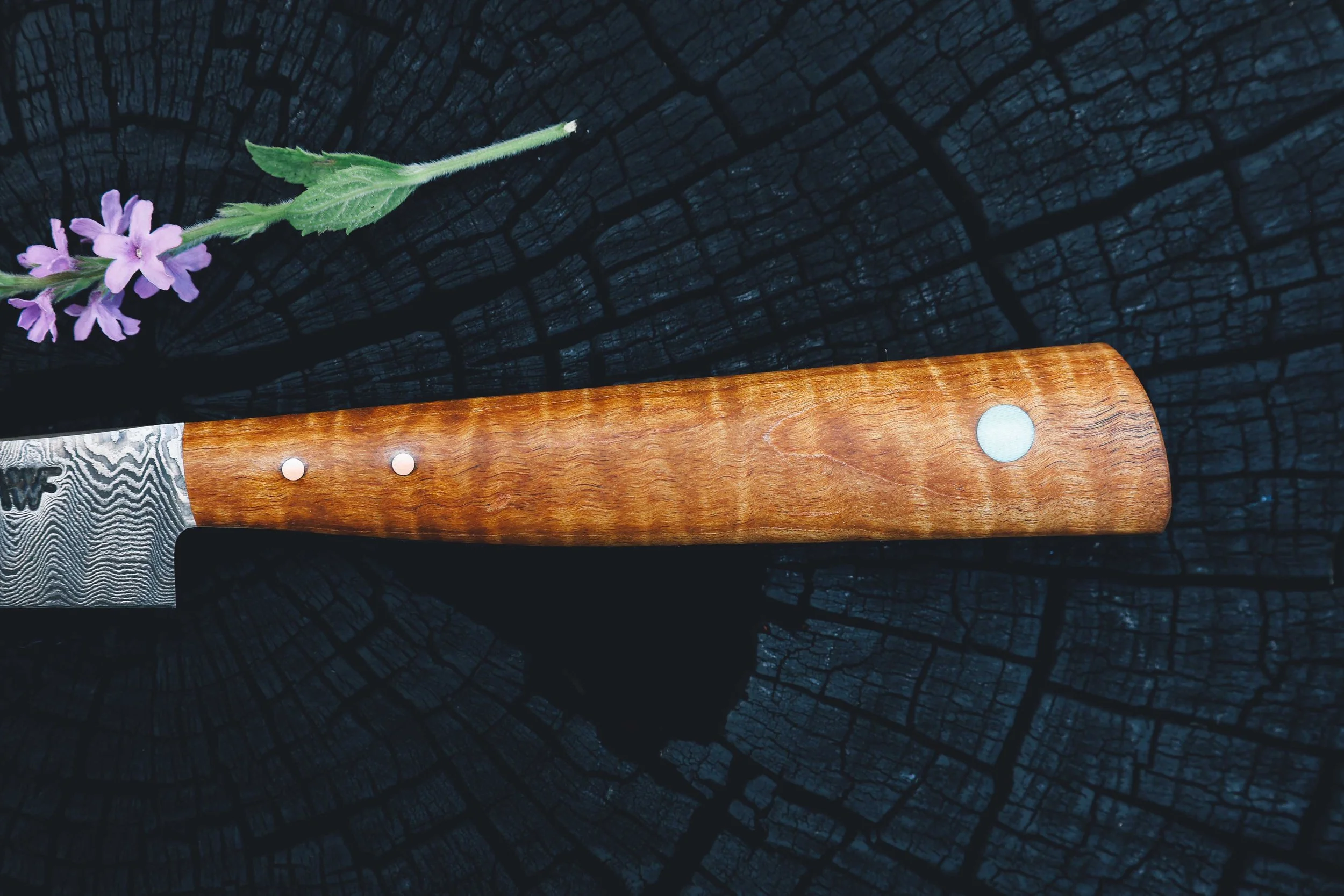 XL paring maple damascus-3.jpg
