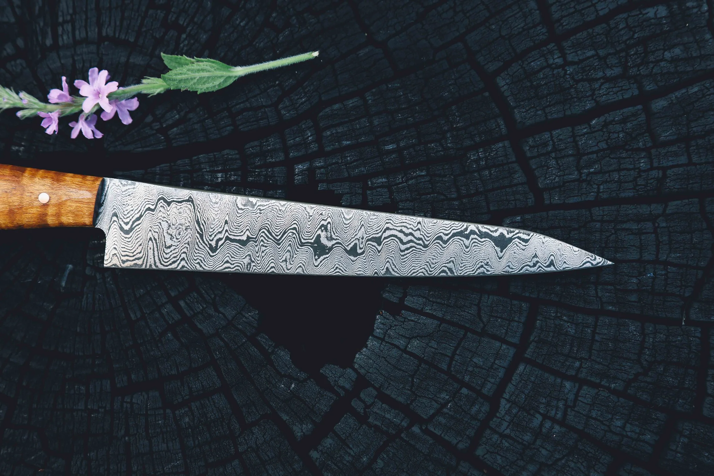 XL paring maple damascus-5.jpg