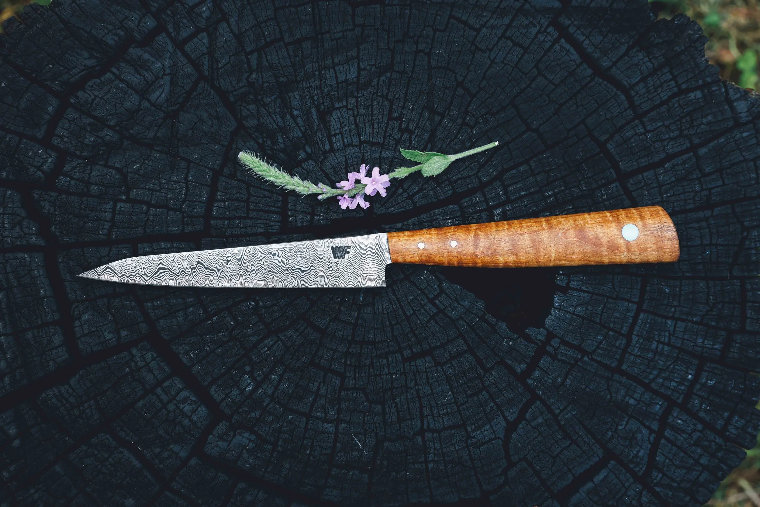 XL paring maple damascus.jpg