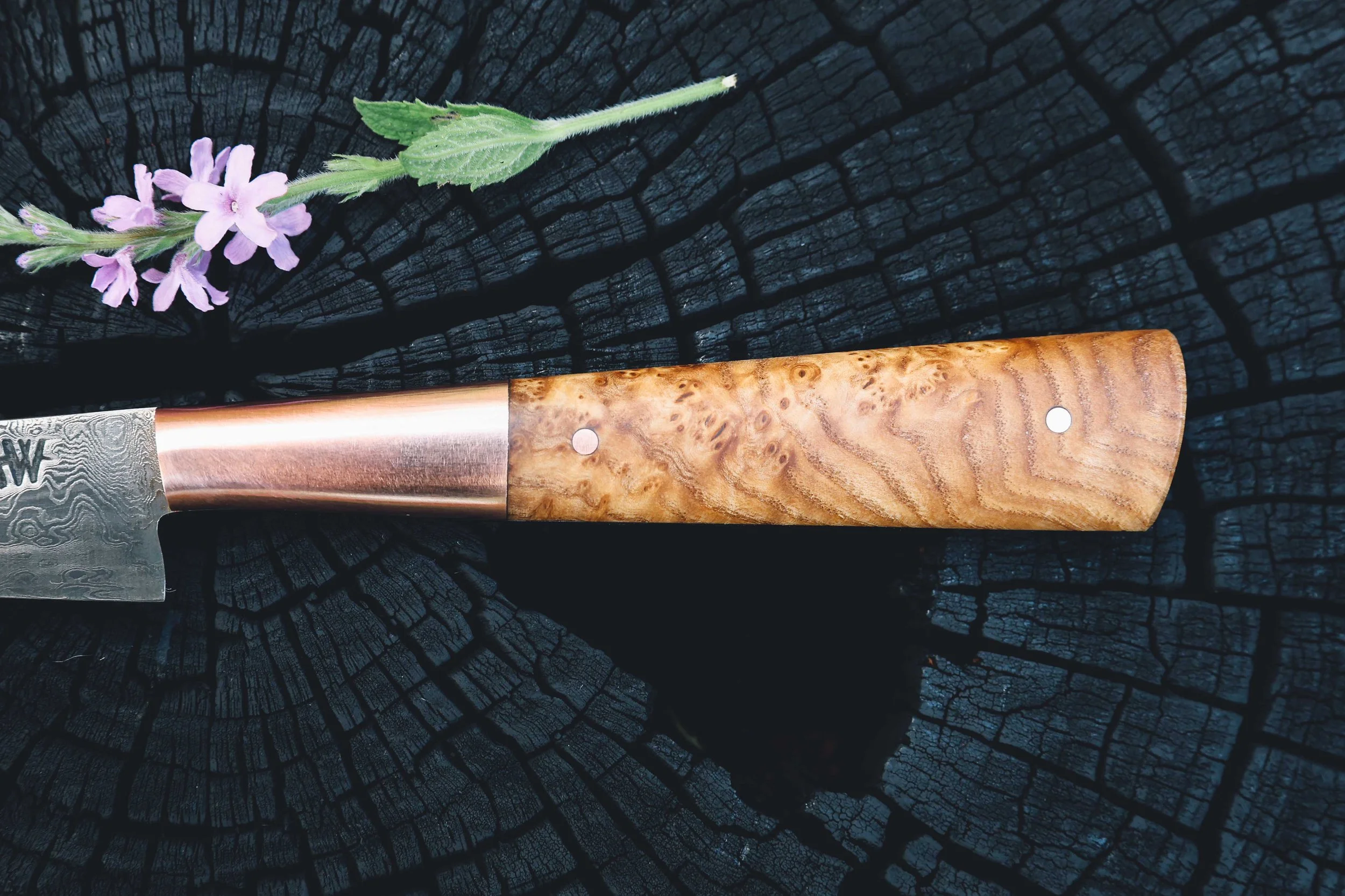 paring ashburl copper damascus-3.jpg