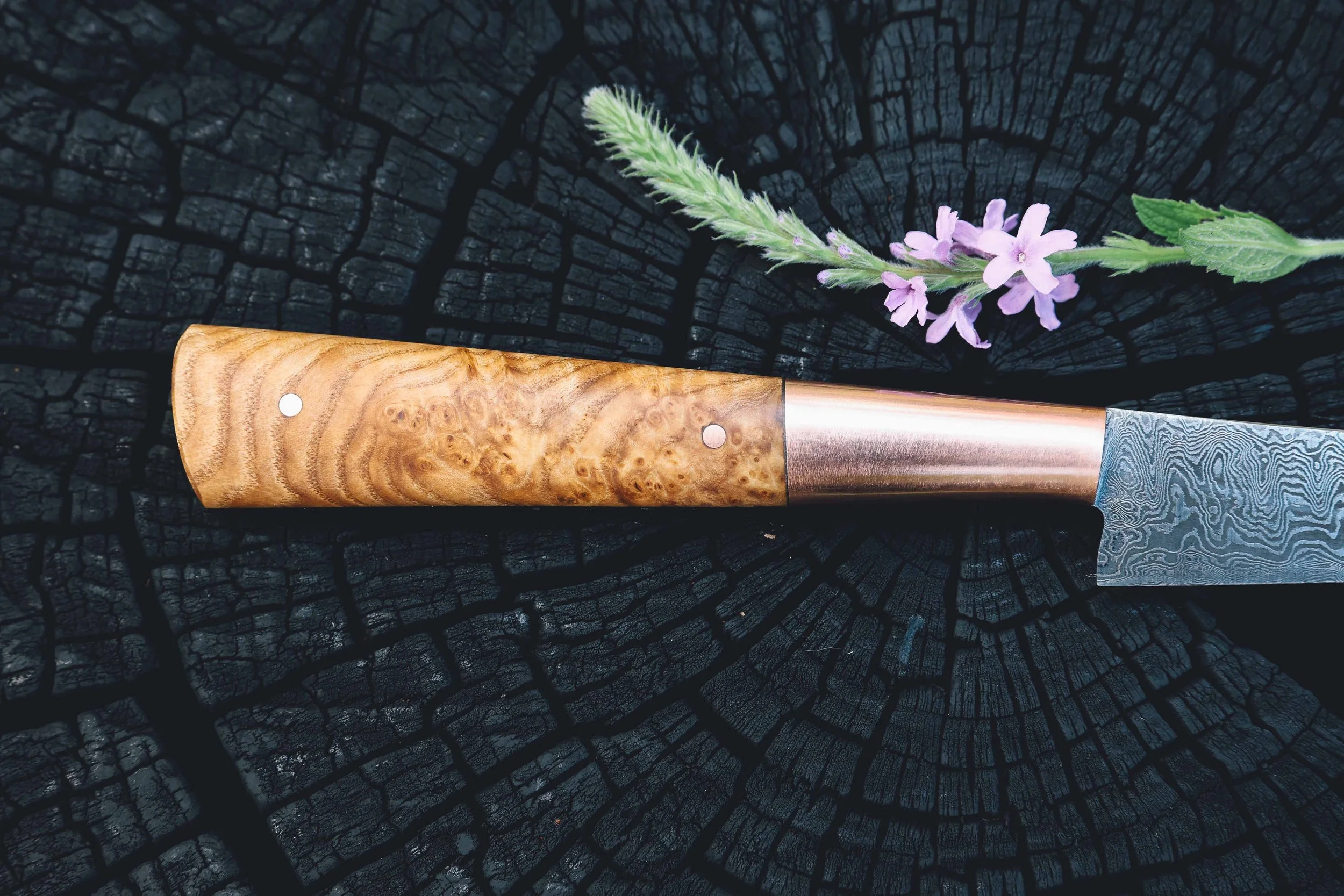 paring ashburl copper damascus-6.jpg