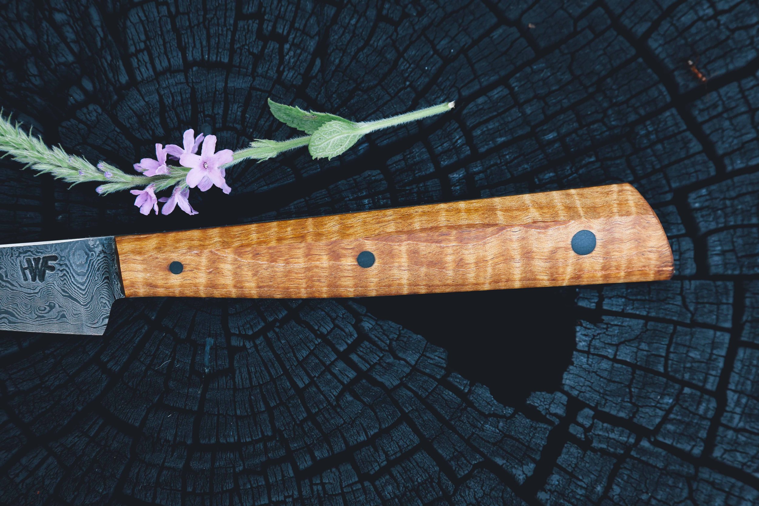 paring maple damascus-3.jpg