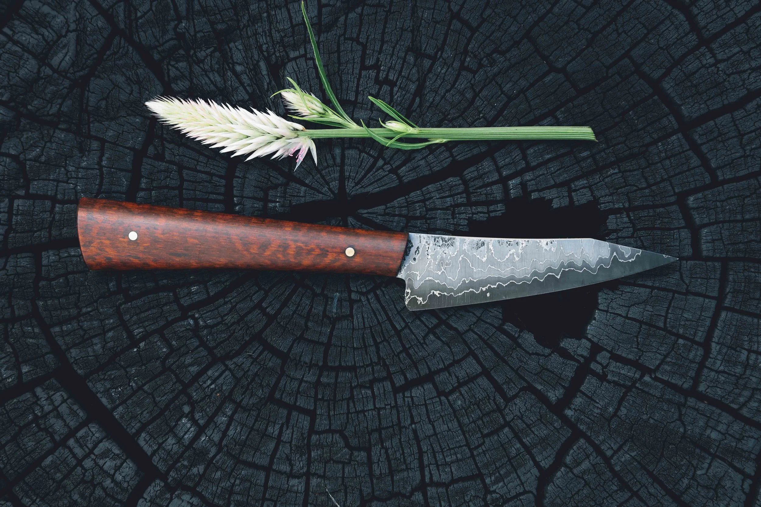 snakewood paring cask strength-4.jpg