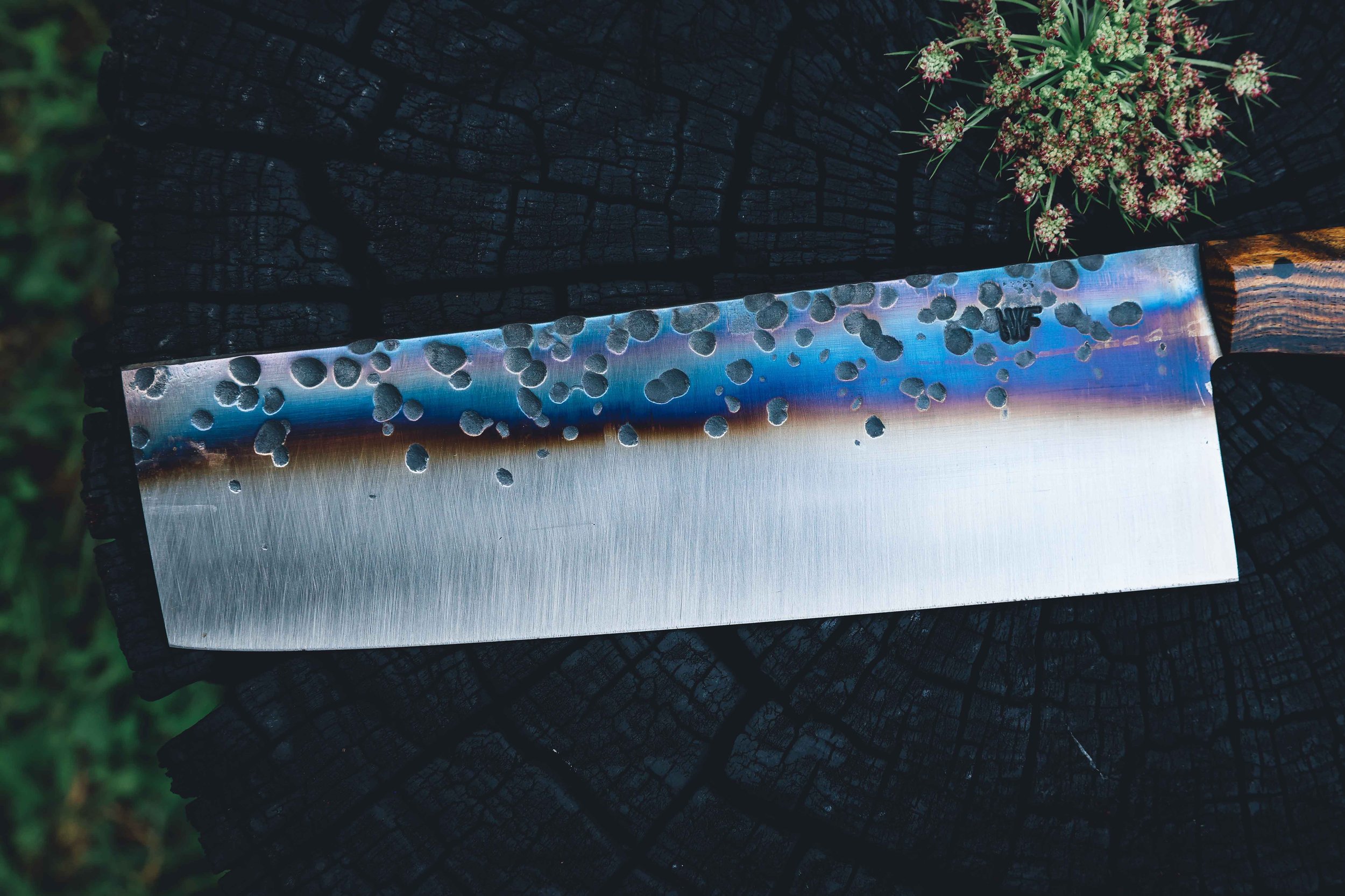 nakiri bocote trout-2.jpg