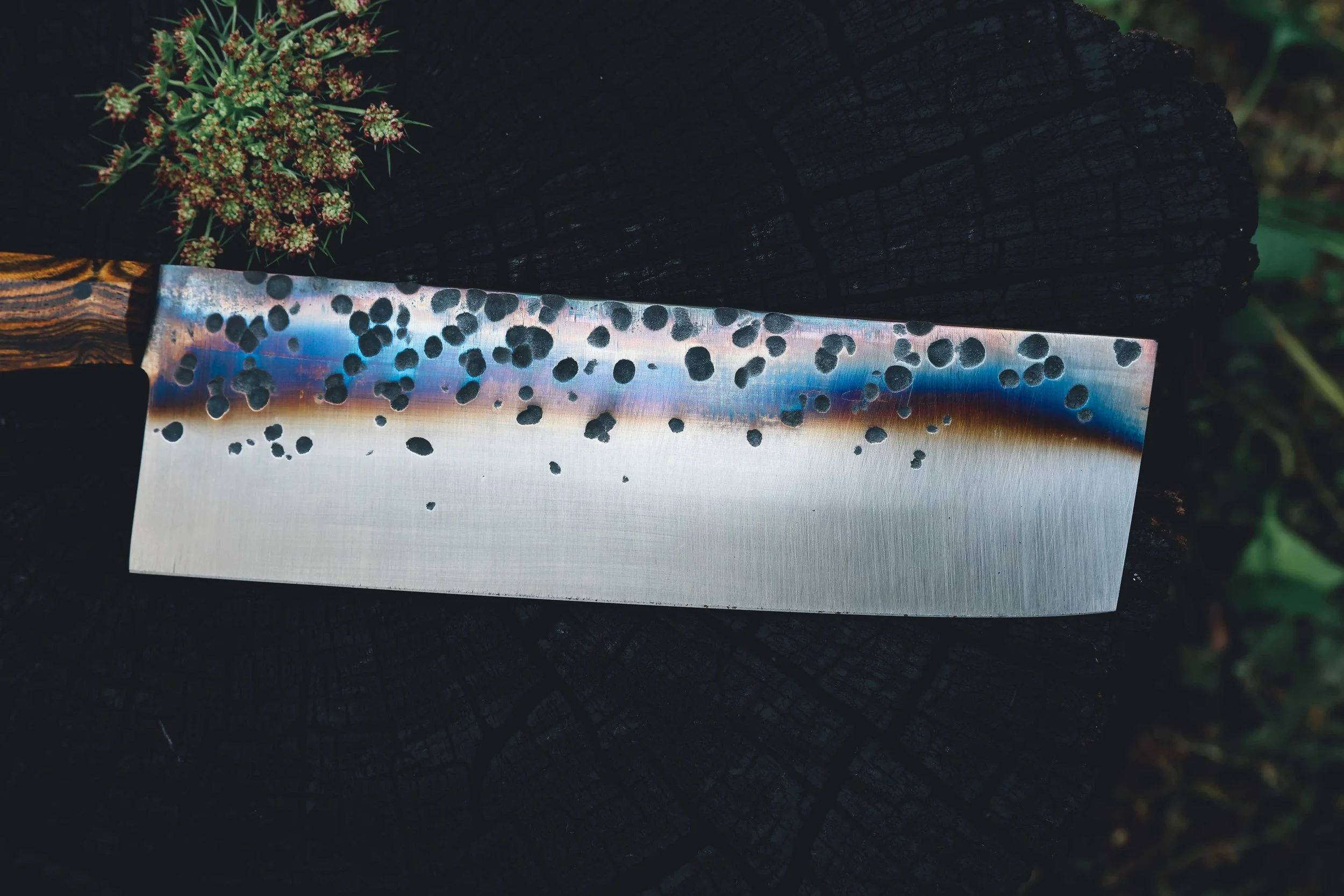 nakiri bocote trout-5.jpg