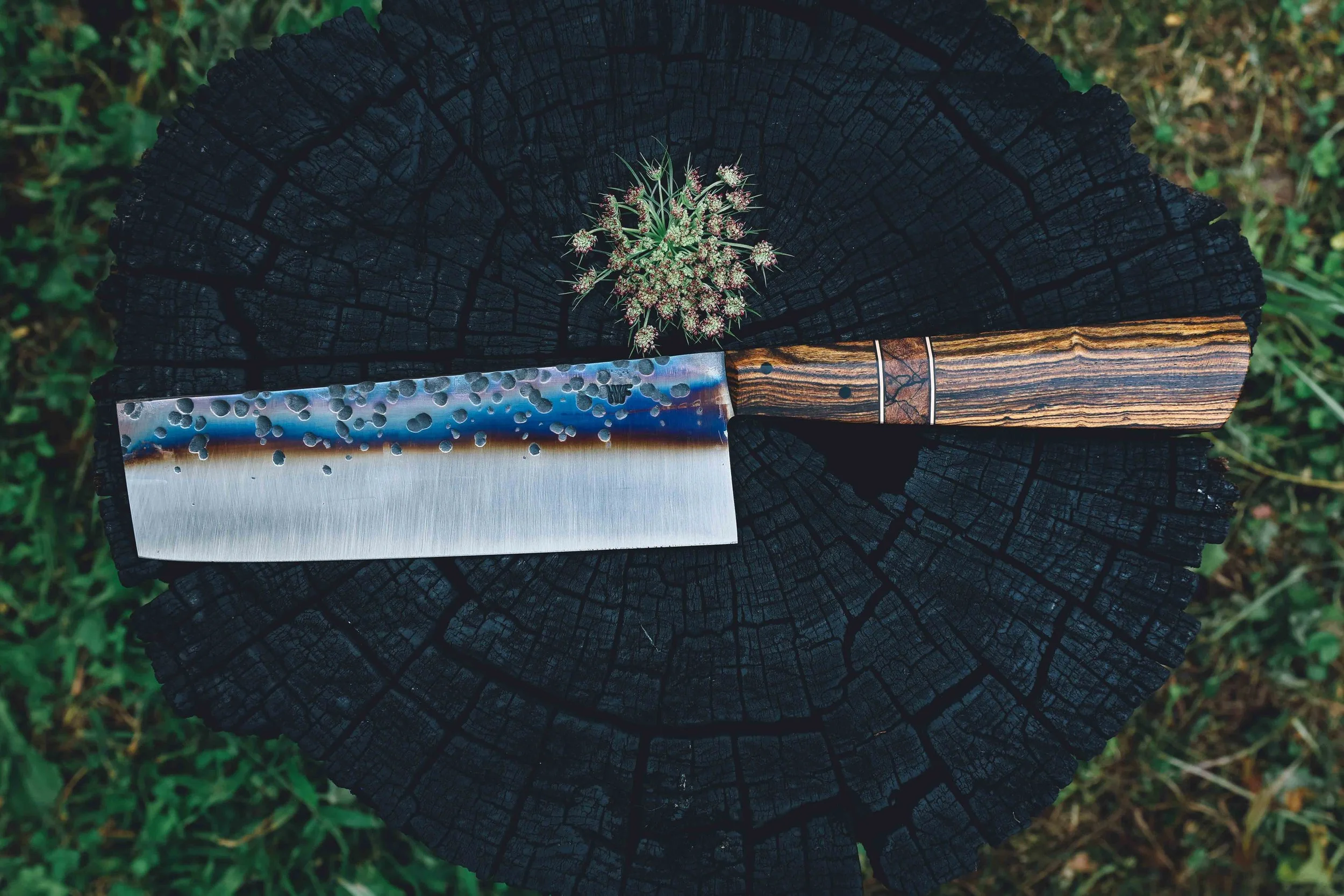nakiri bocote trout.jpg