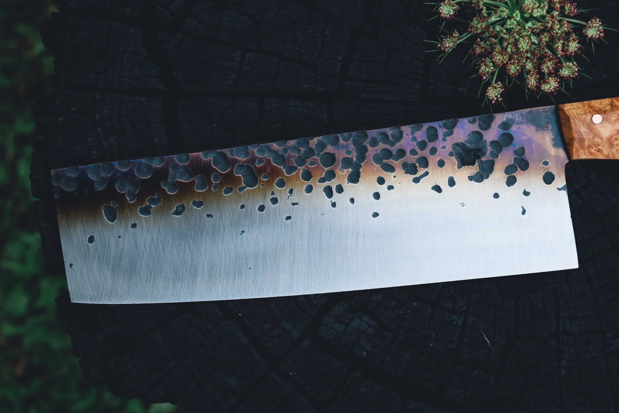 nakiri syca trout-2.jpg