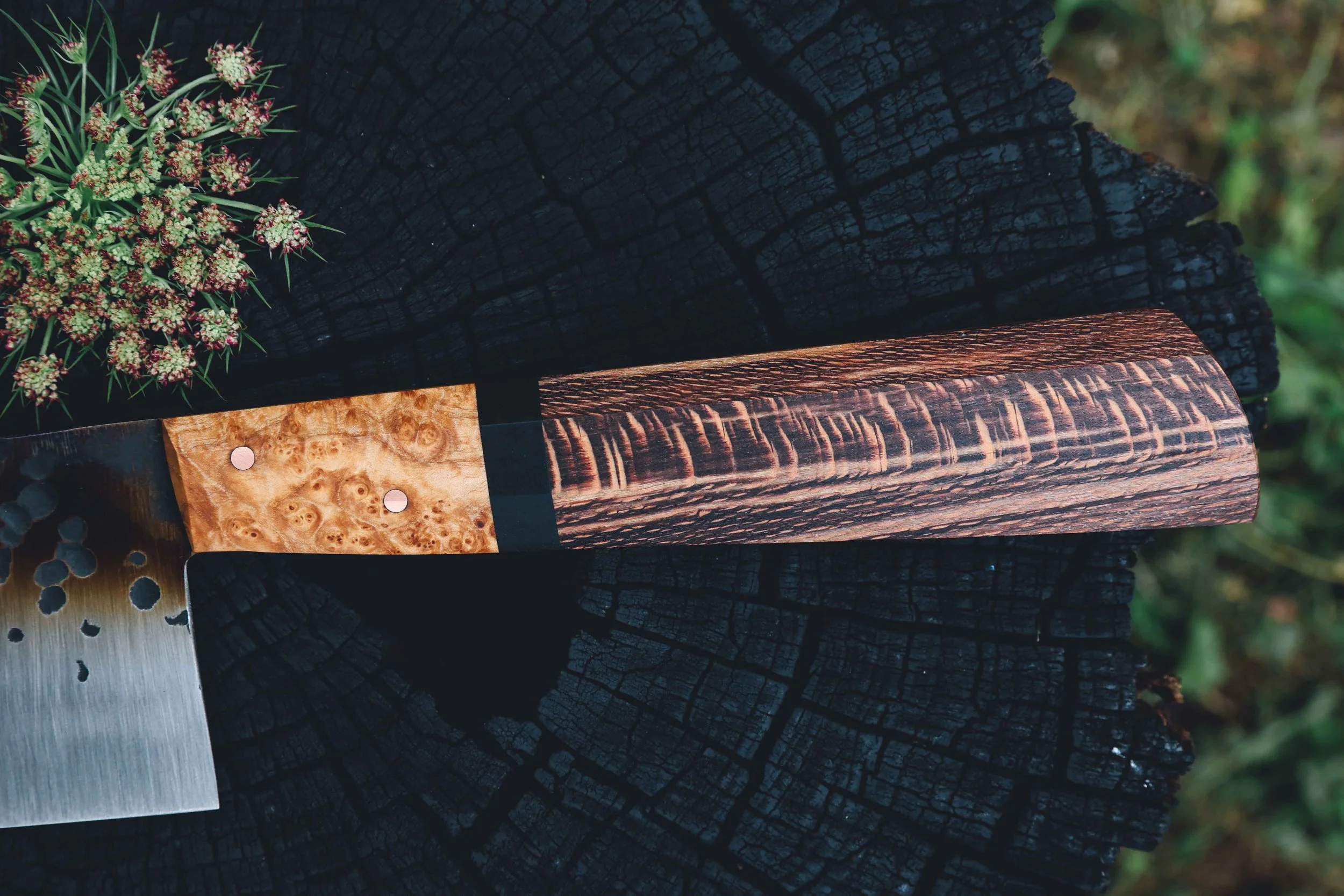 nakiri syca trout-3.jpg