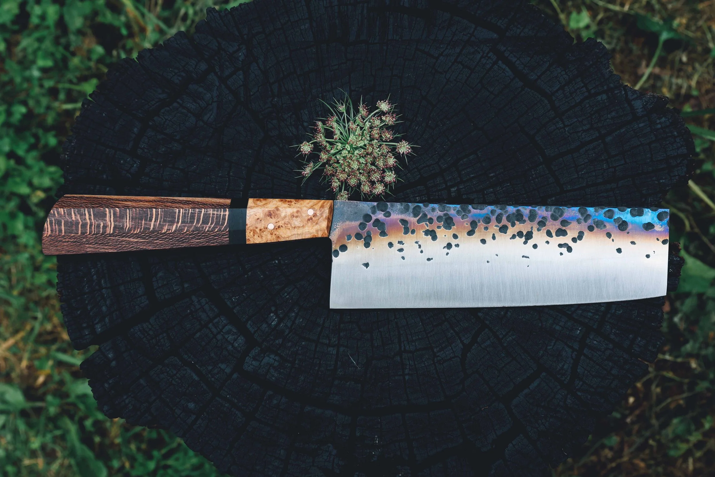 nakiri syca trout-4.jpg