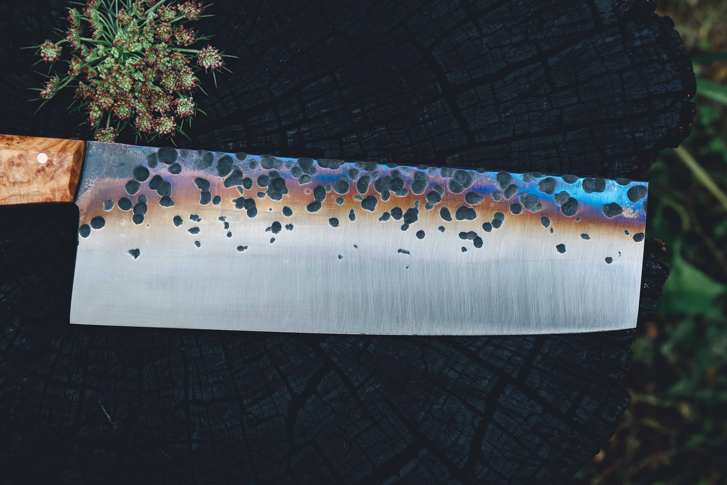 nakiri syca trout-5.jpg
