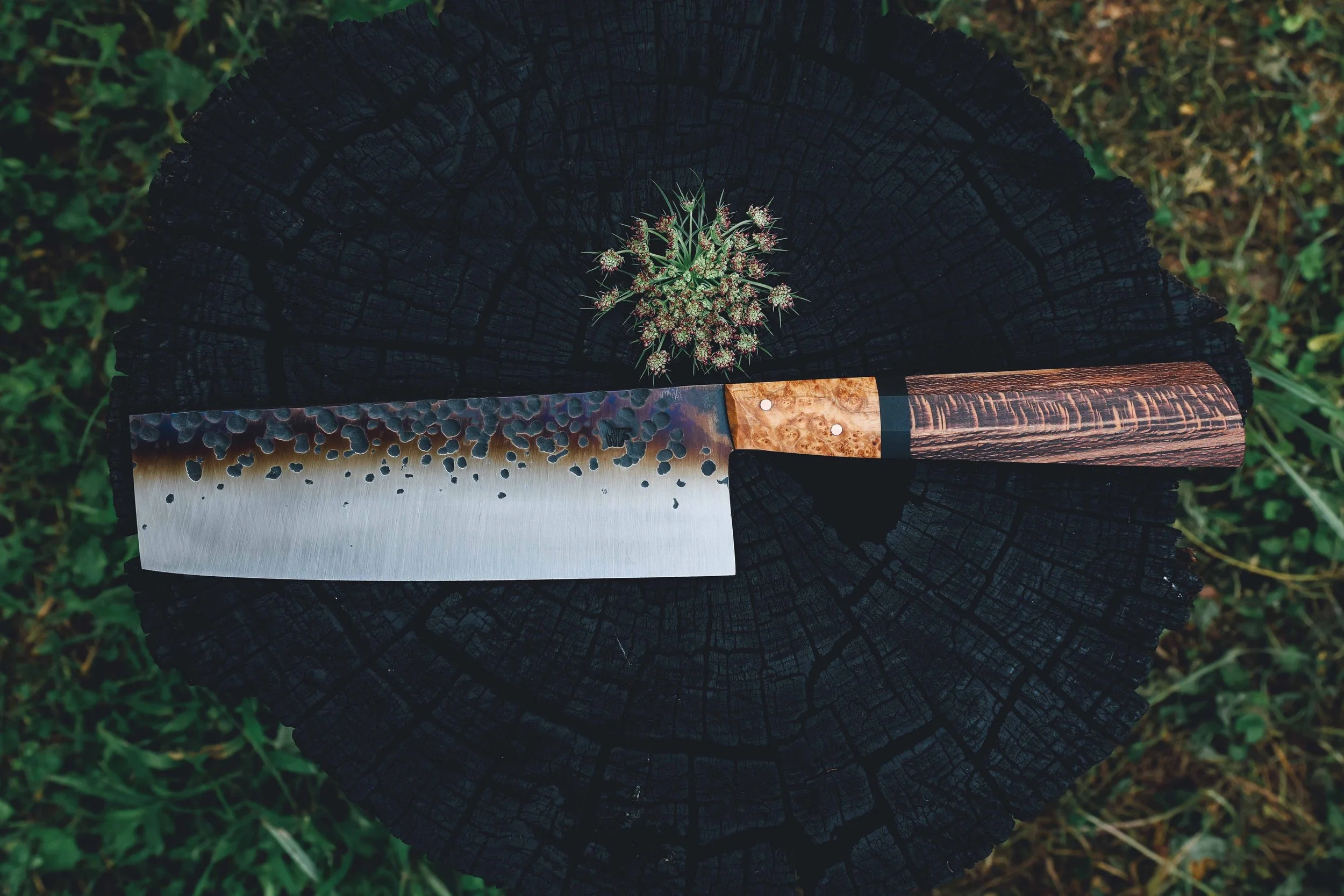 nakiri syca trout.jpg