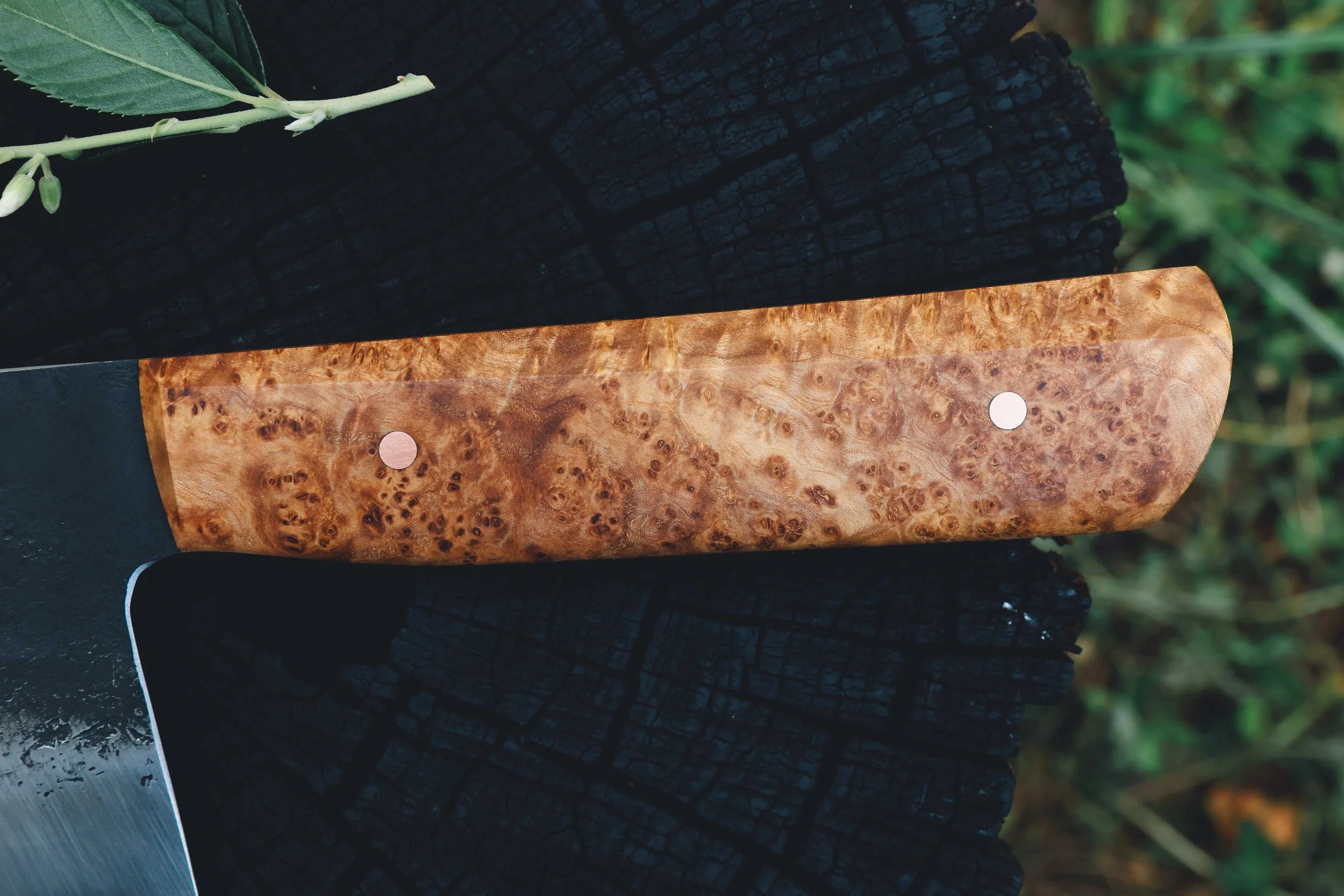 ashburl cleaver-3.jpg