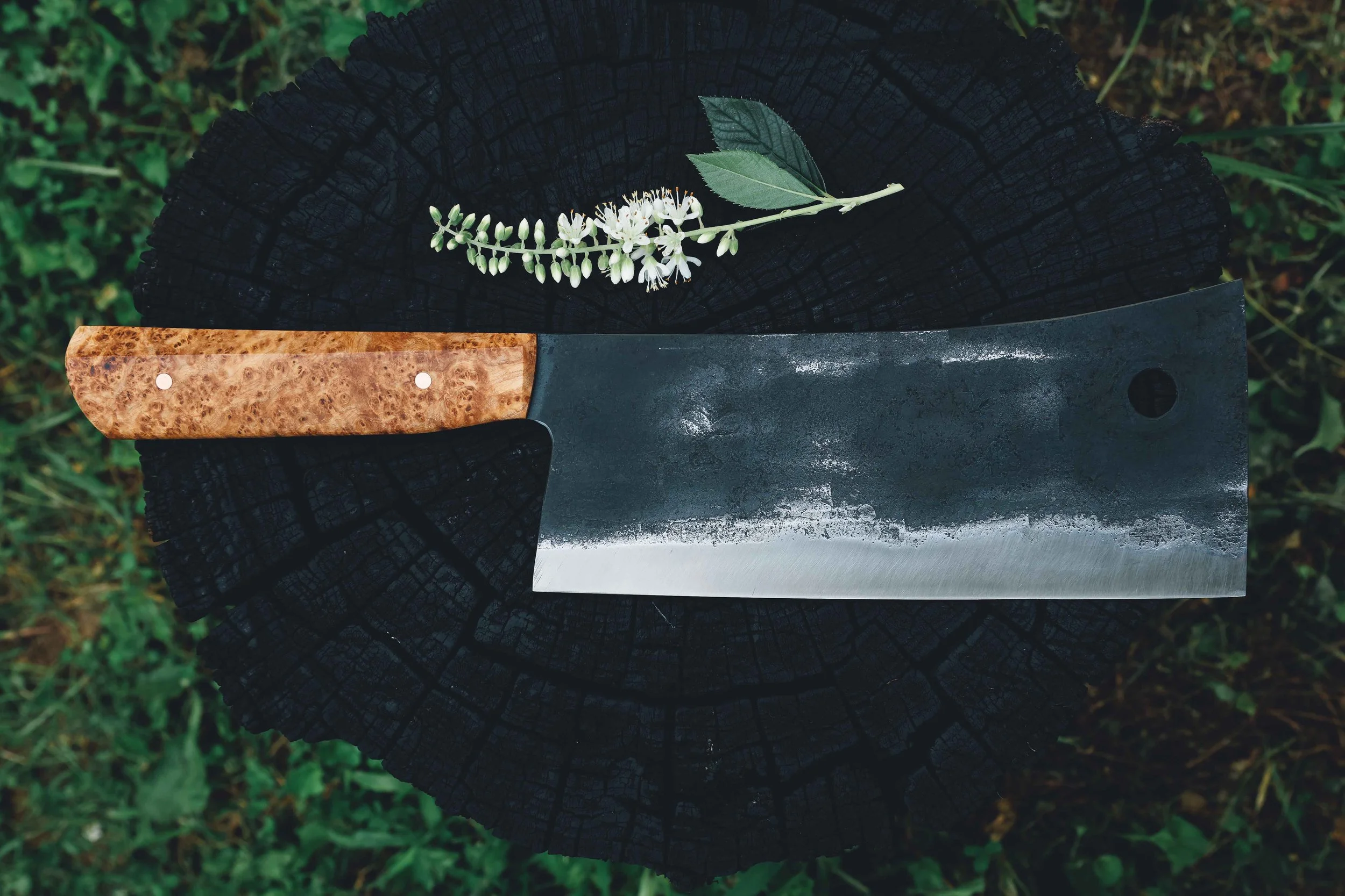 ashburl cleaver-4.jpg