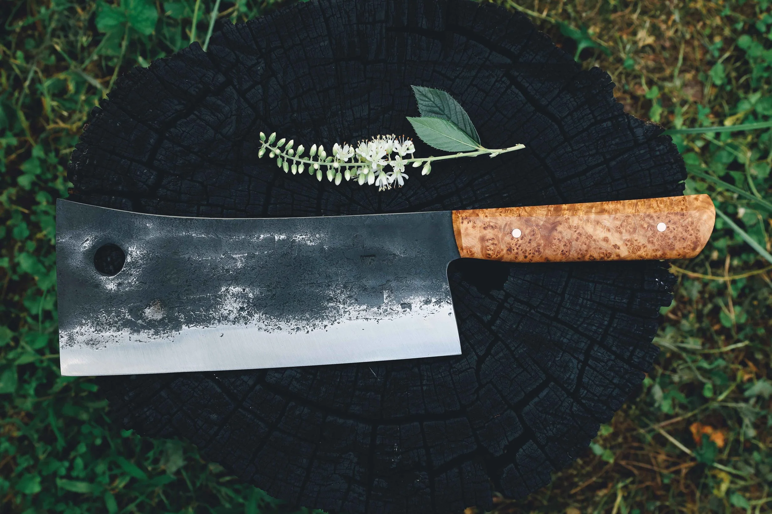 ashburl cleaver.jpg