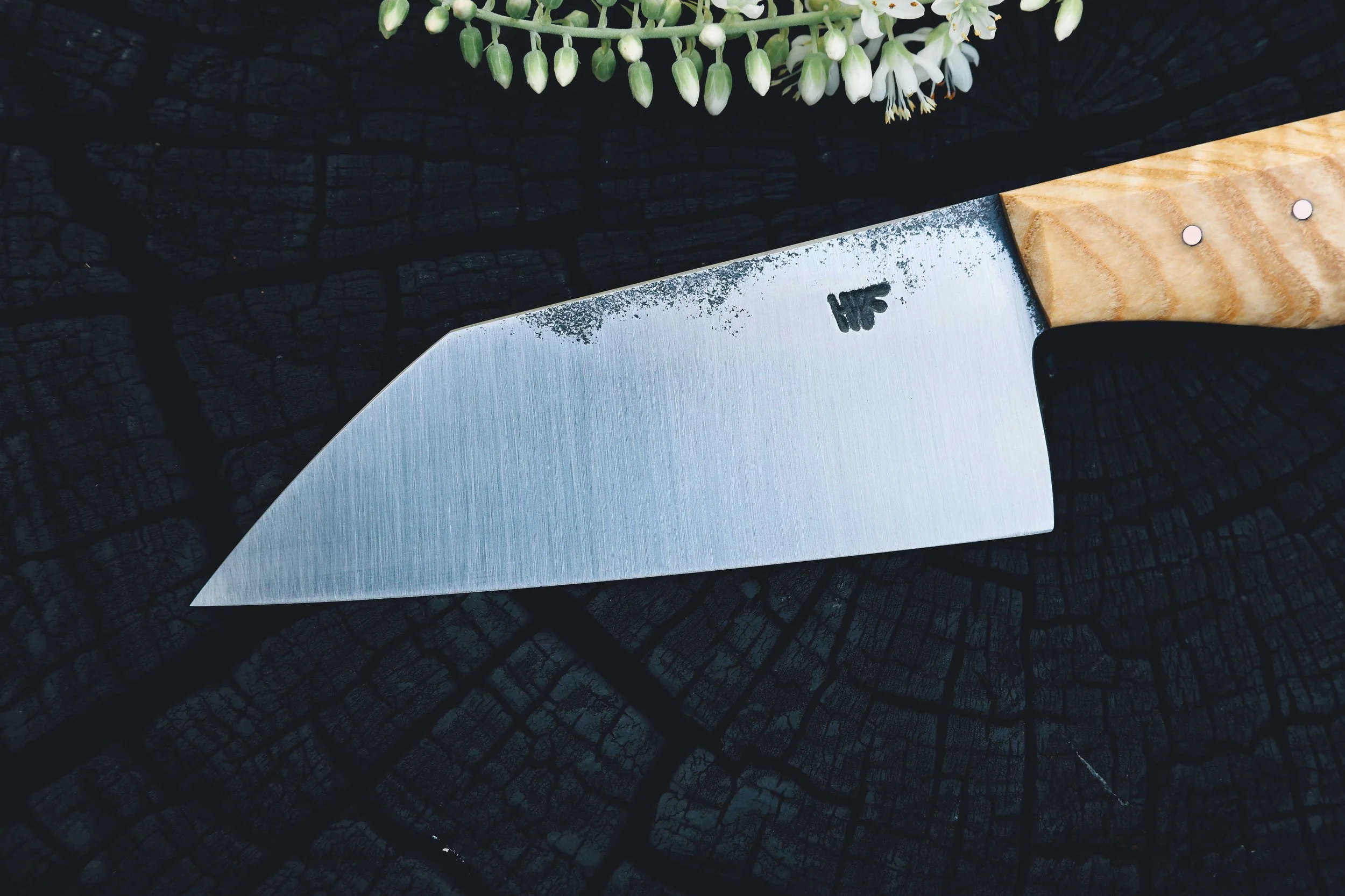 ktip ash burl-2.jpg