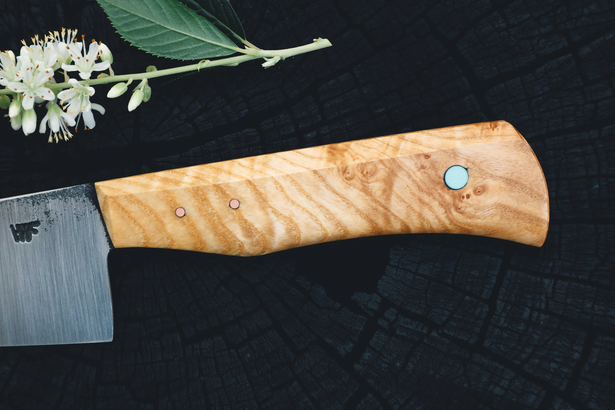 ktip ash burl-3.jpg